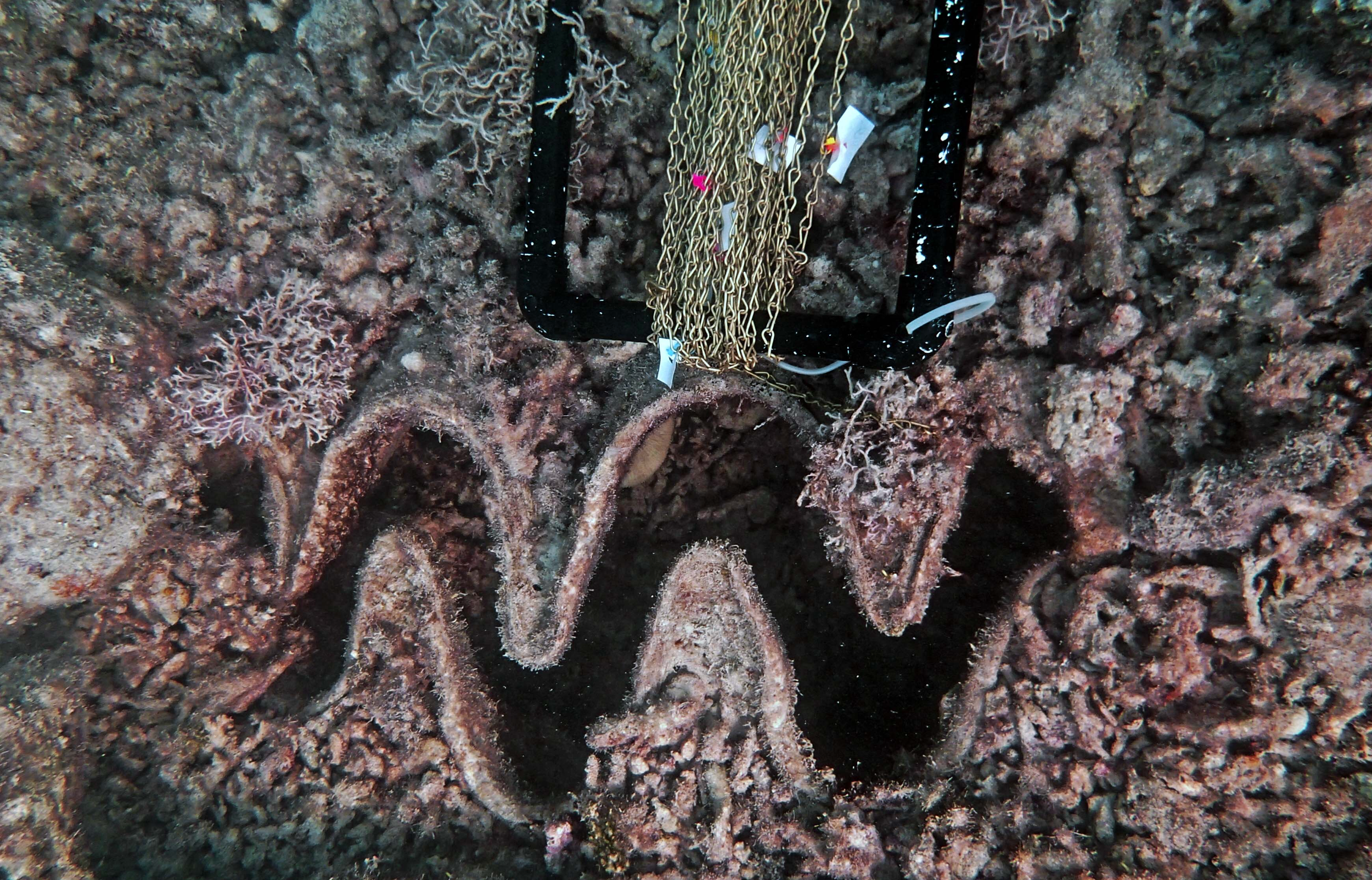 P9081117.png