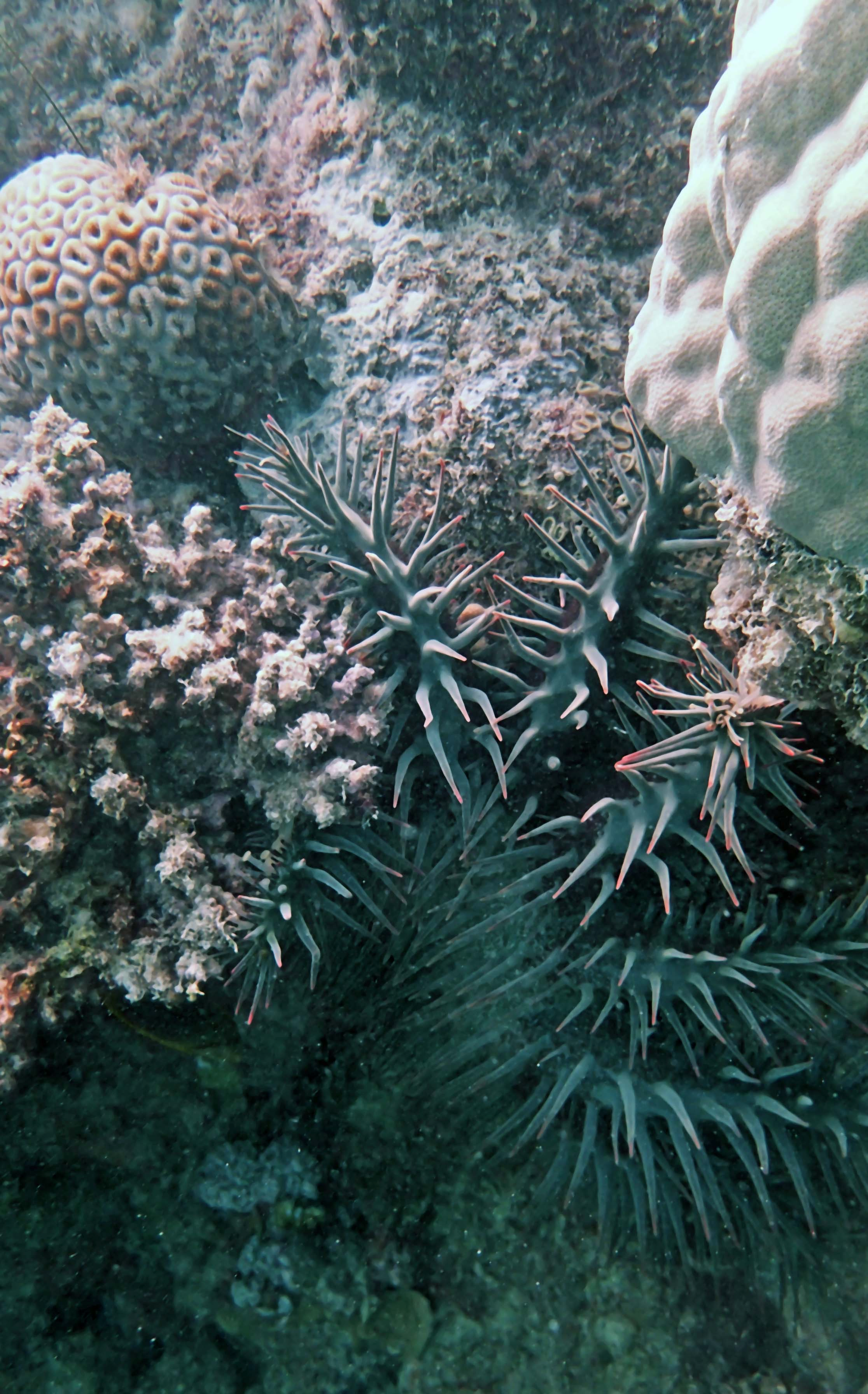 P9081118.png
