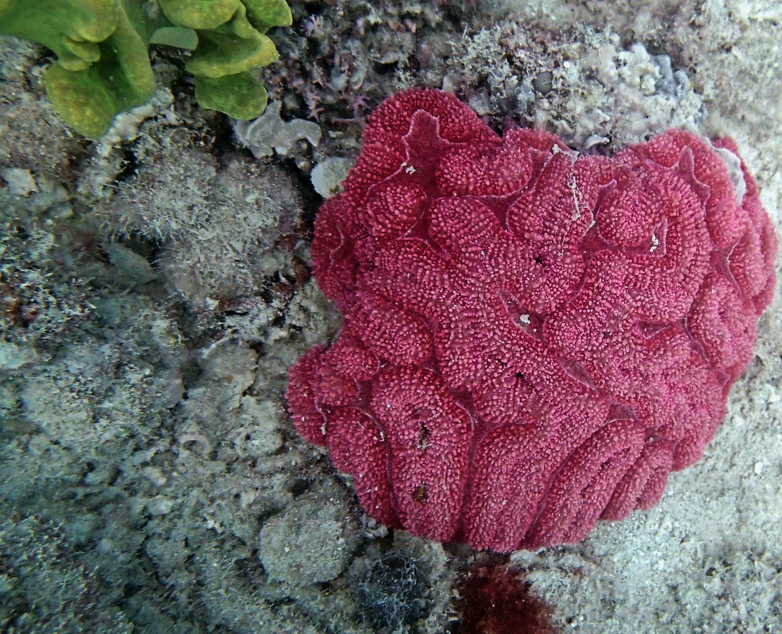 P9081149.png