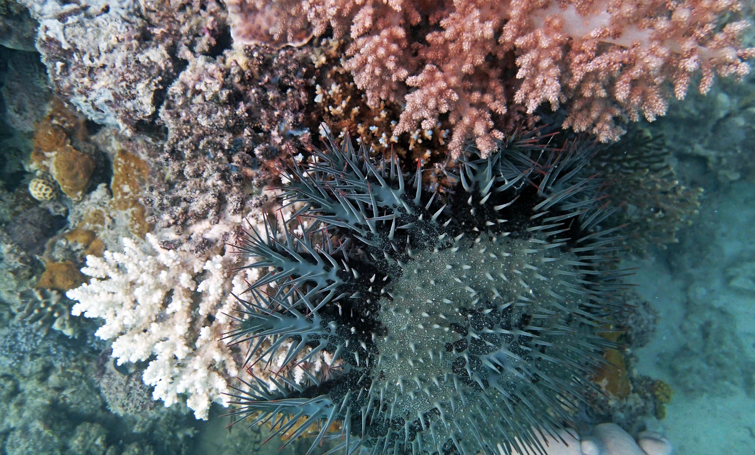 P9081119.png