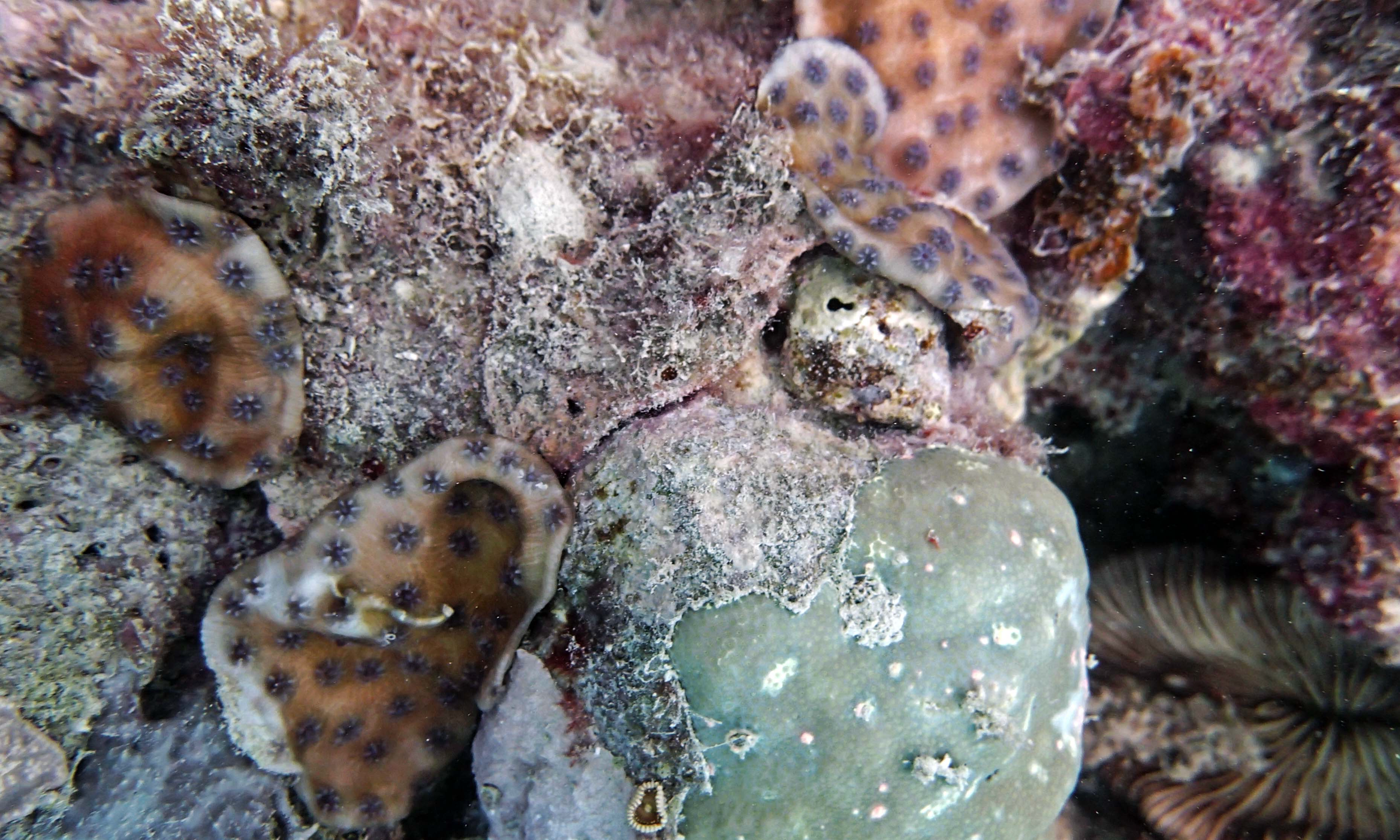P9081156.png