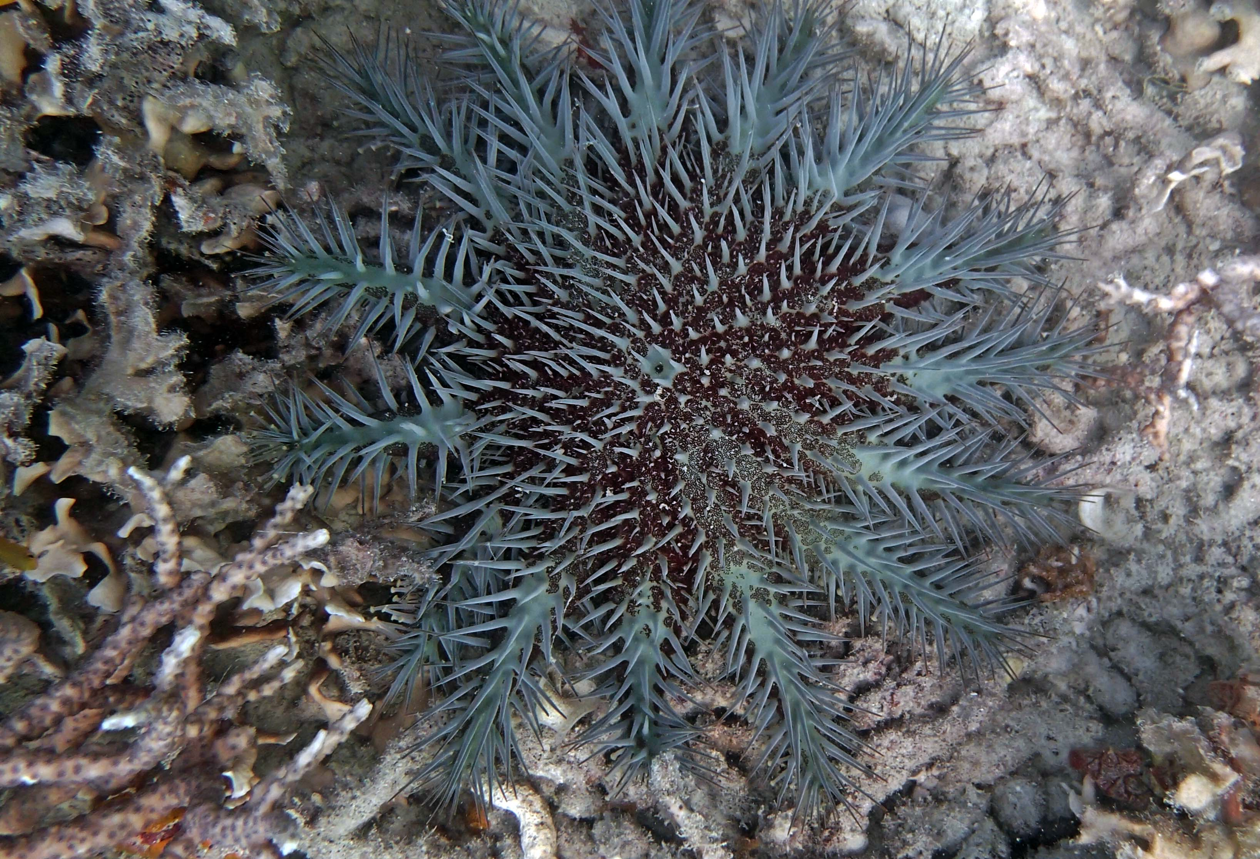 P9081088.png