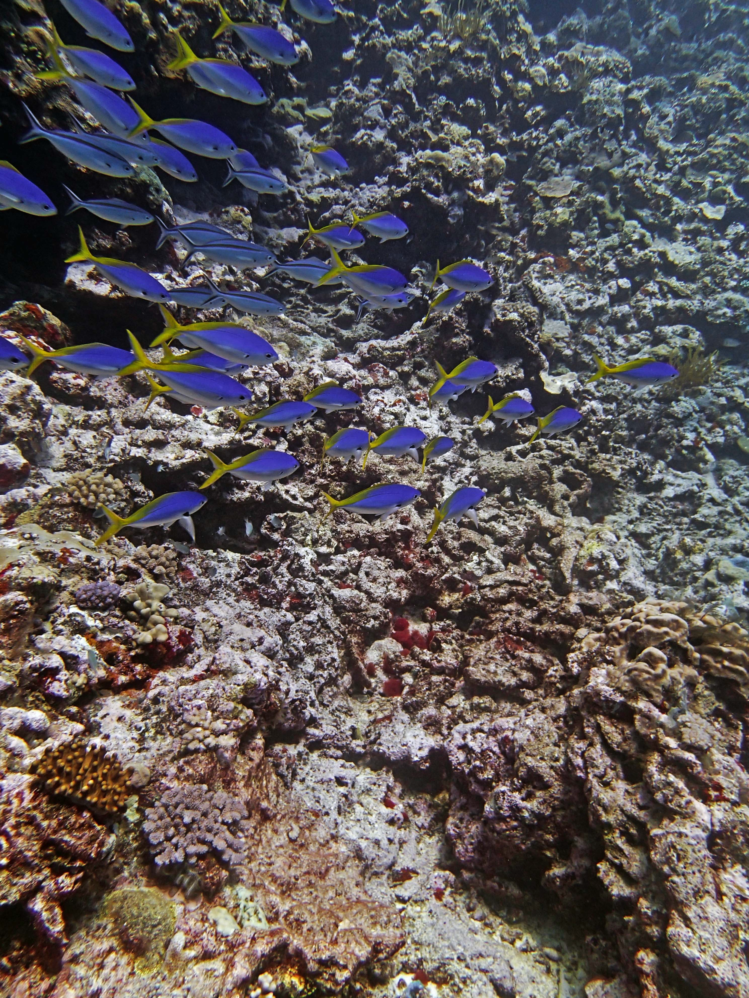 P9091105.png