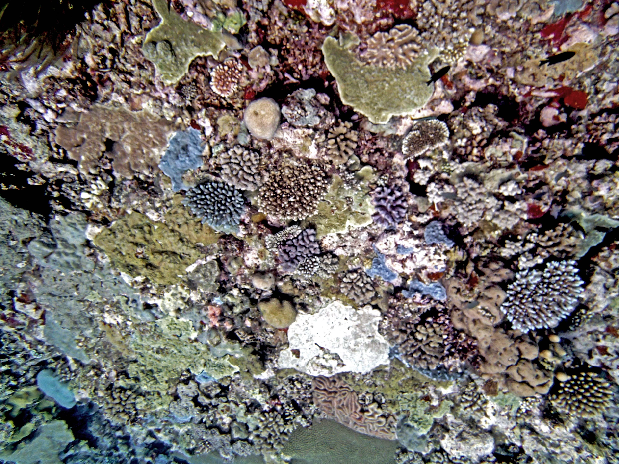 P9091111.png