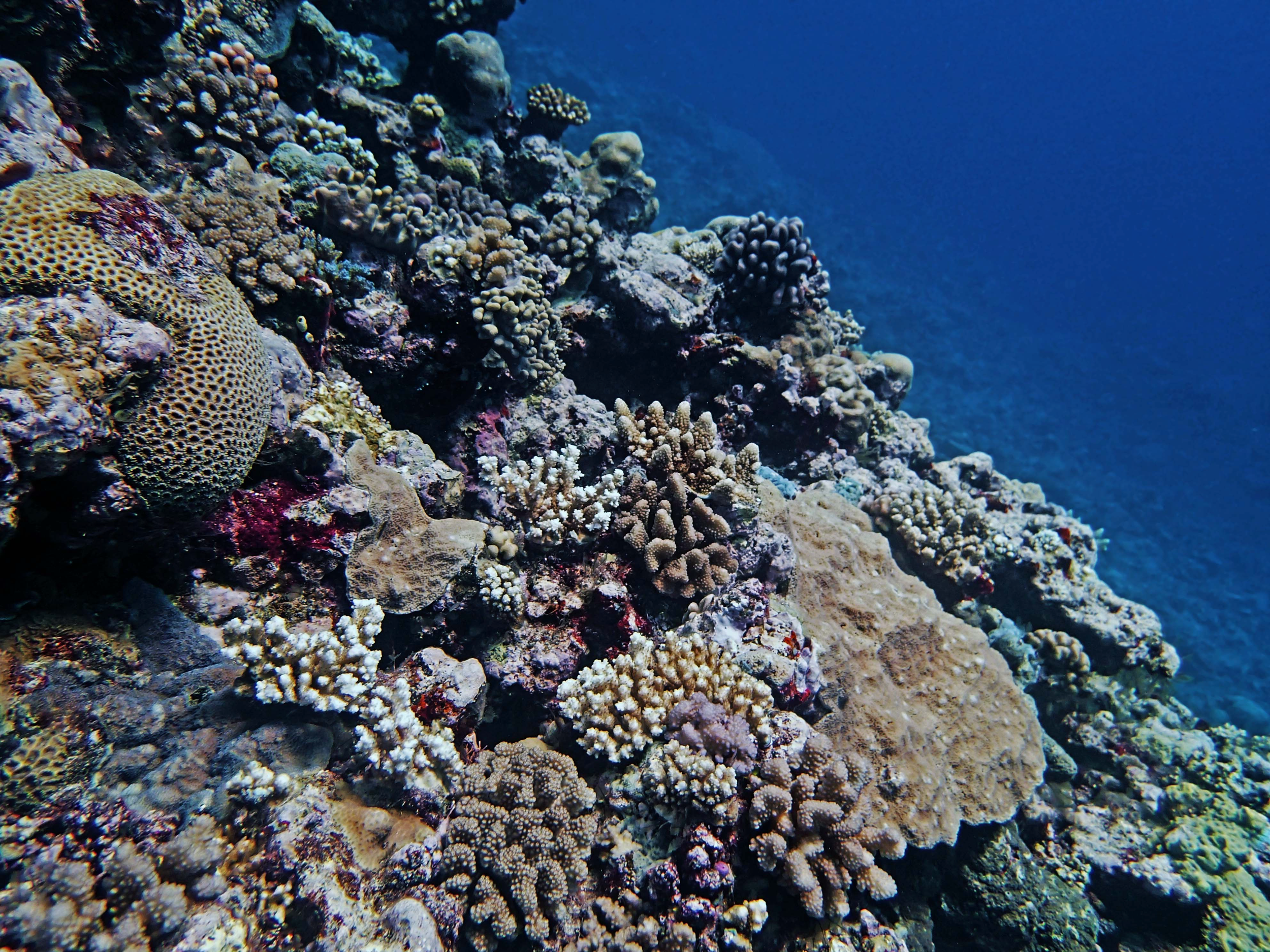 P9091113.png