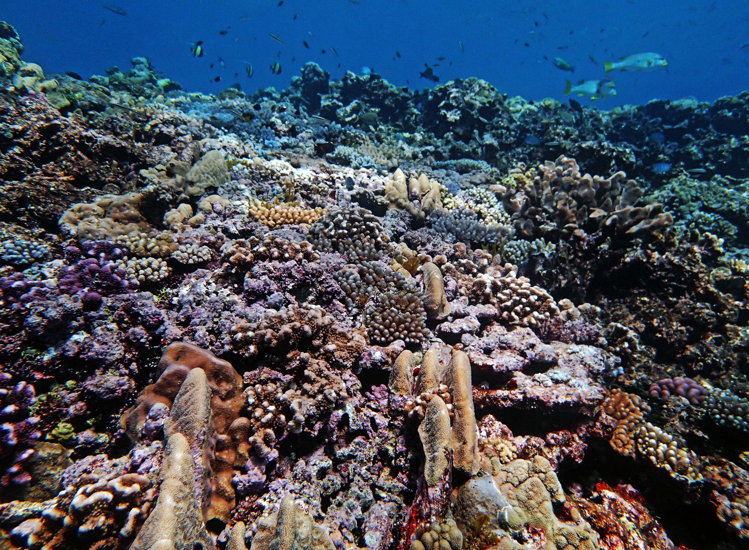 P9091126.png