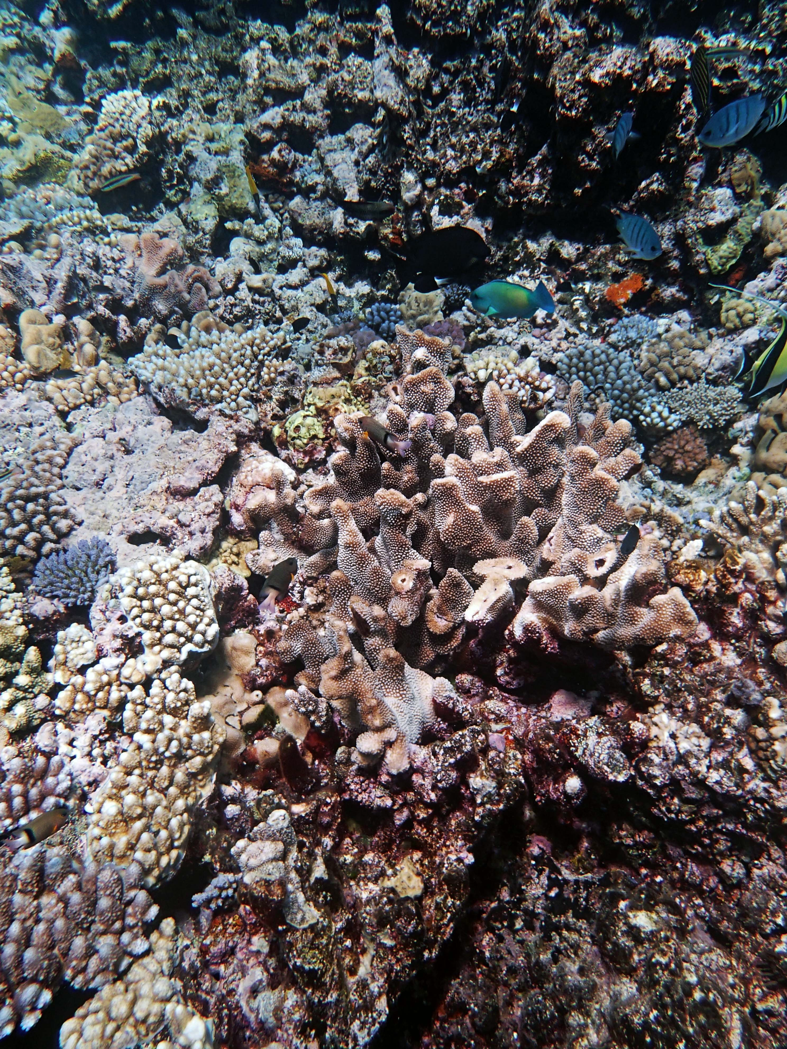 P9091131.png