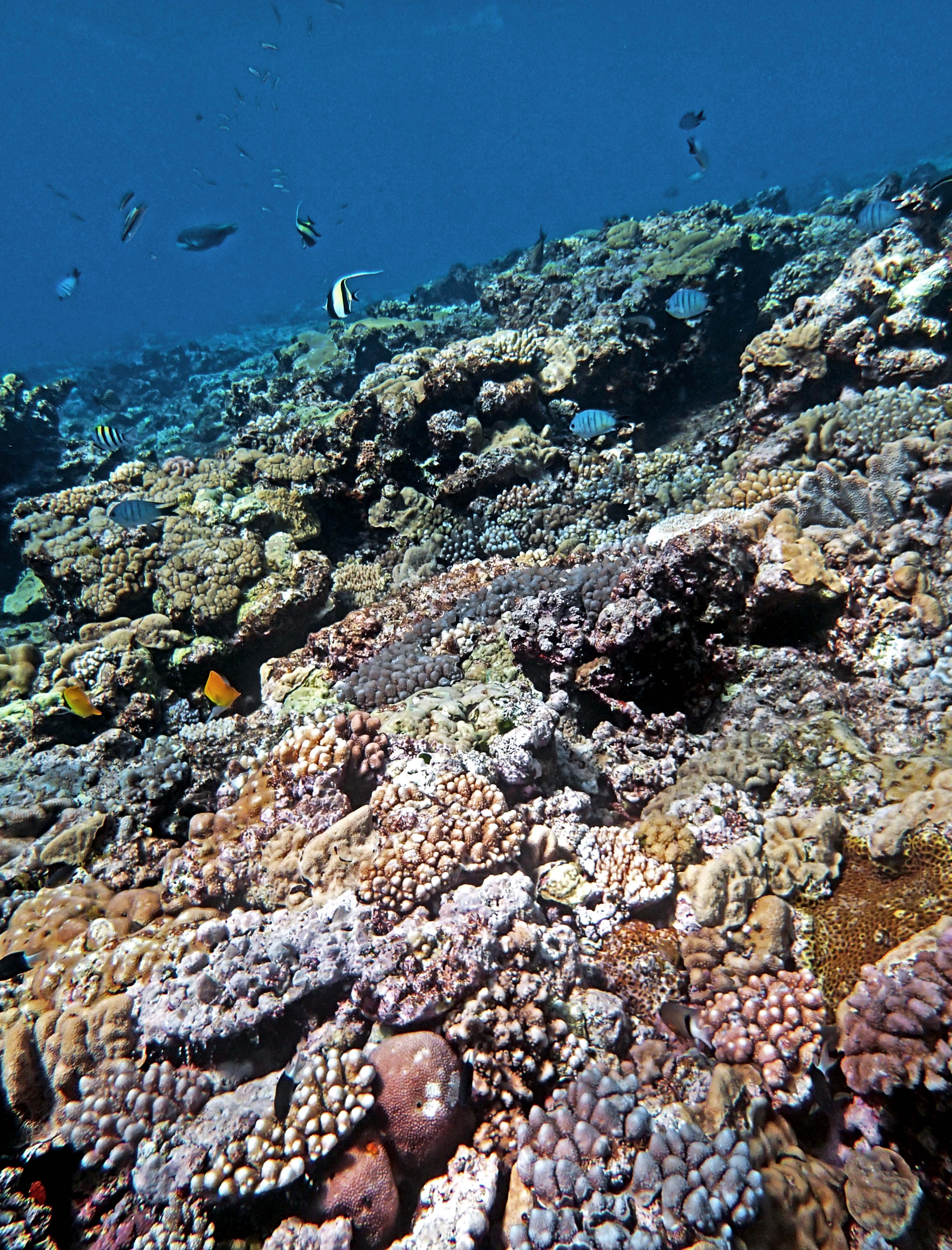 P9091133.png