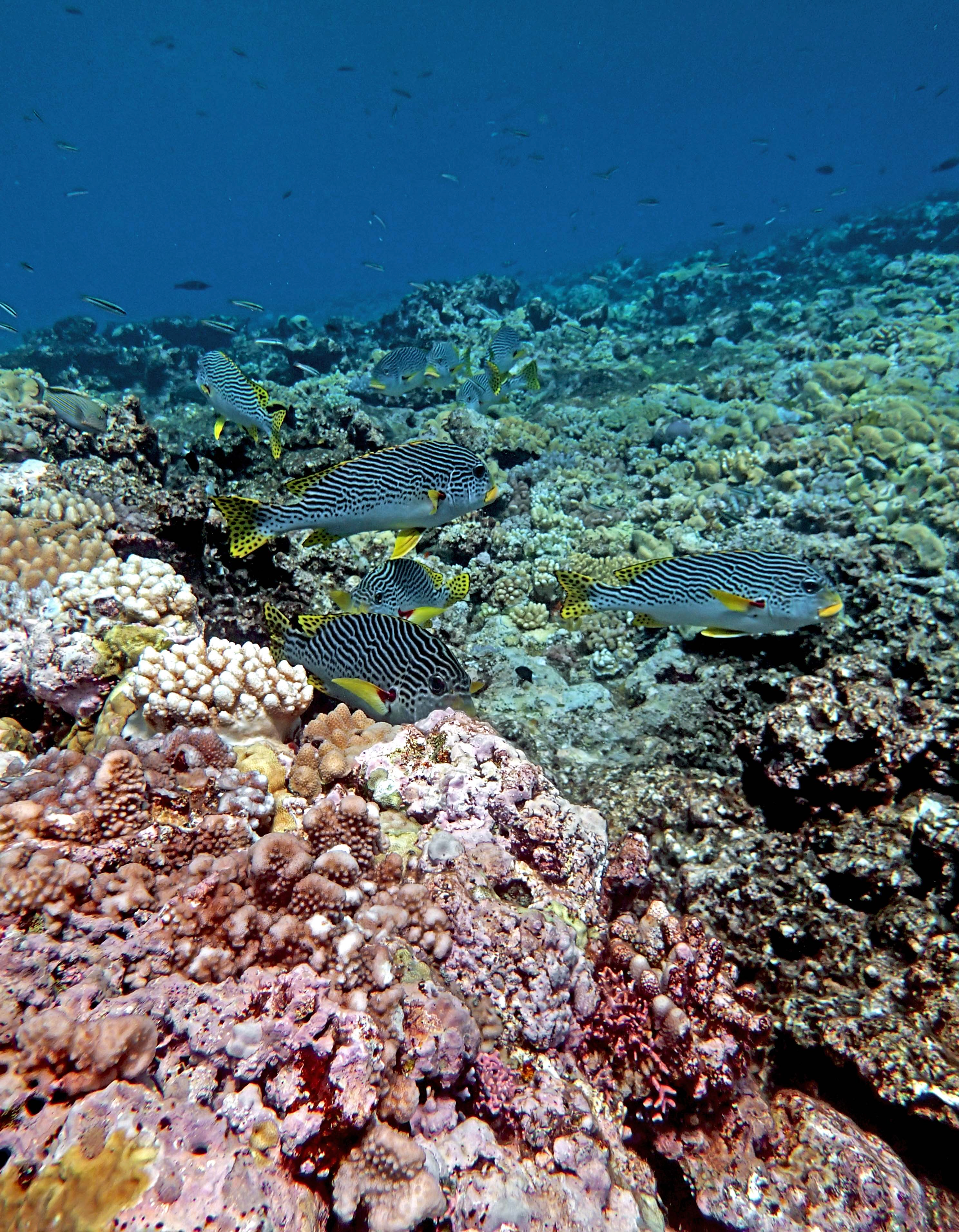 P9091134.png