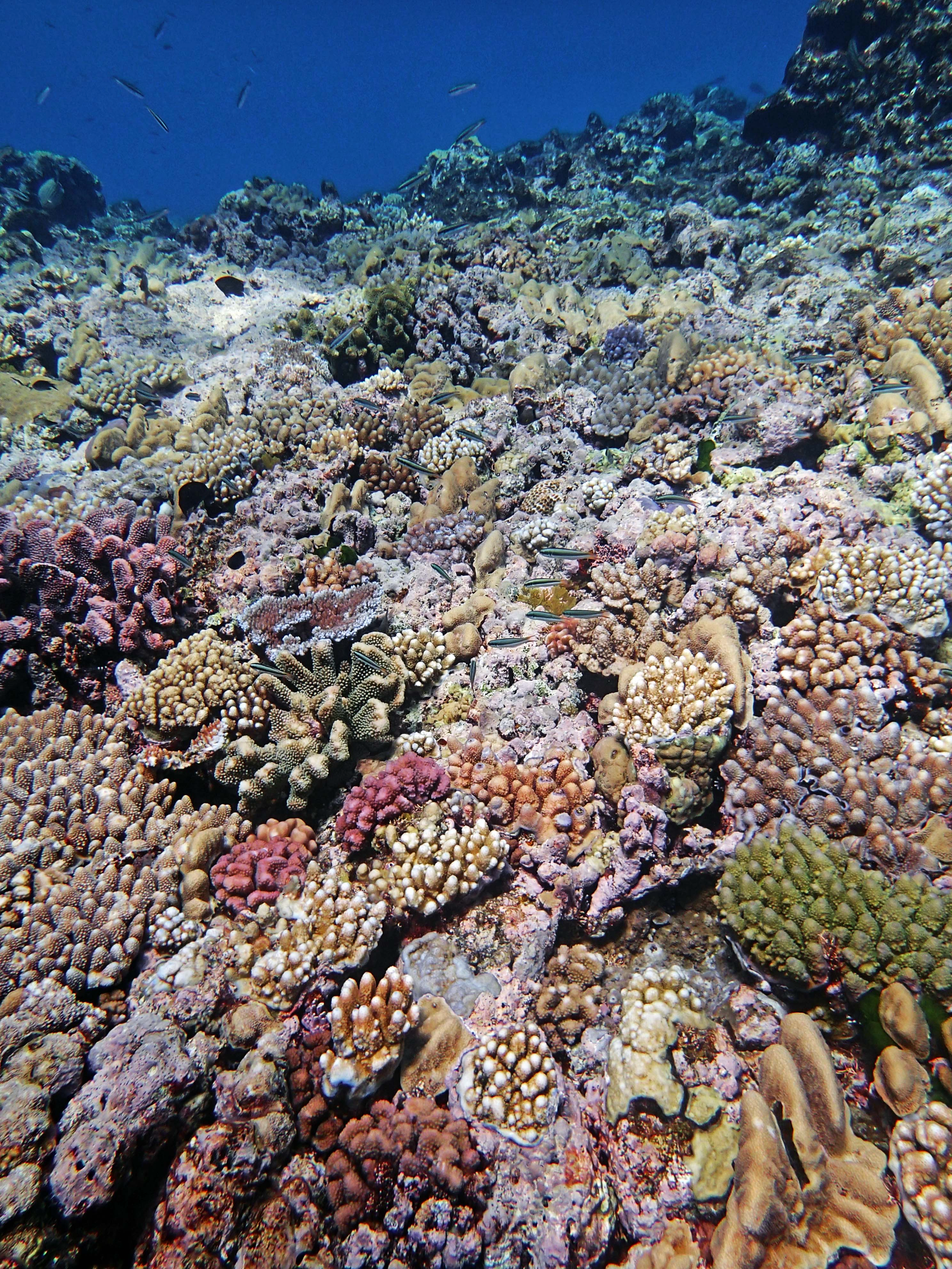 P9091137.png