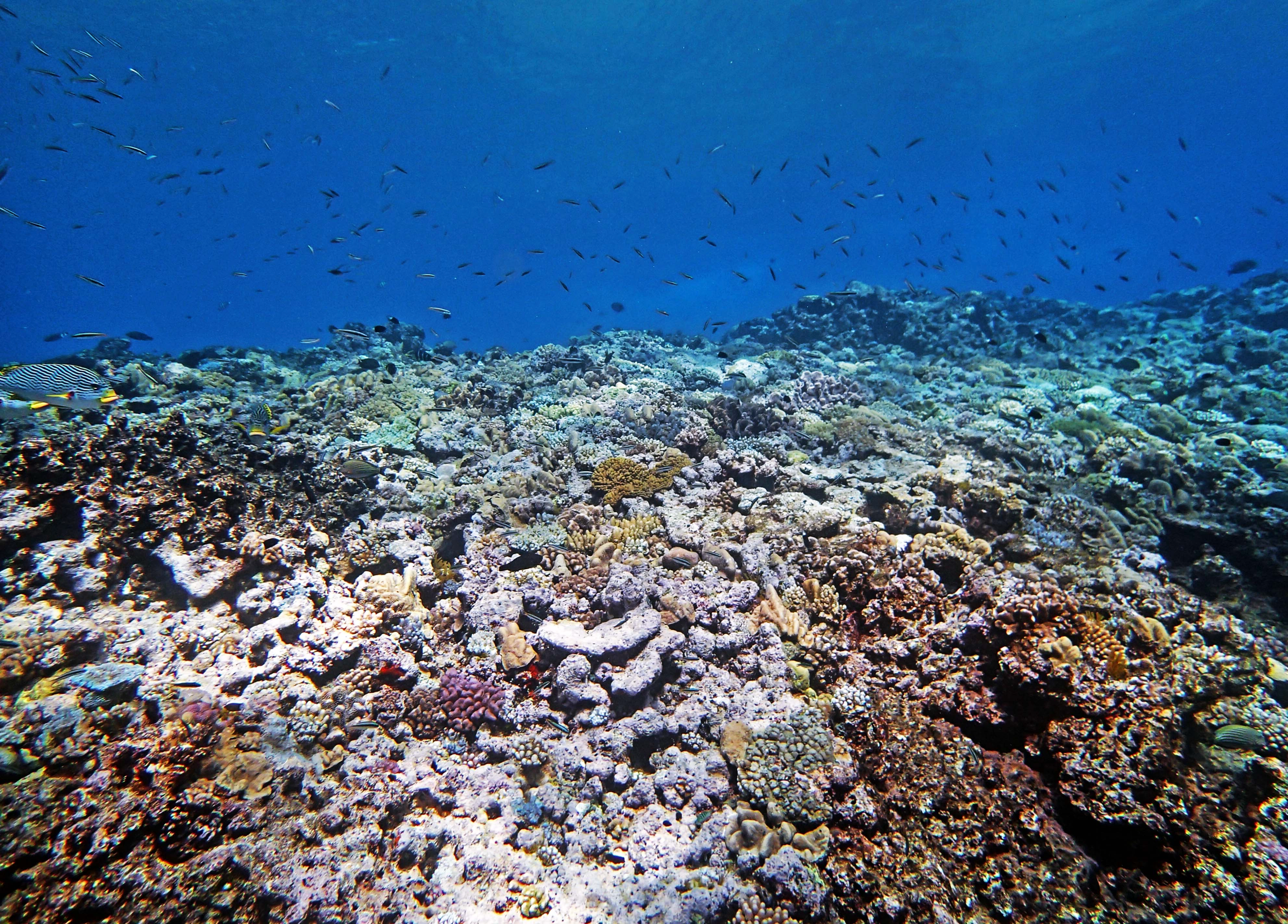 P9091142.png