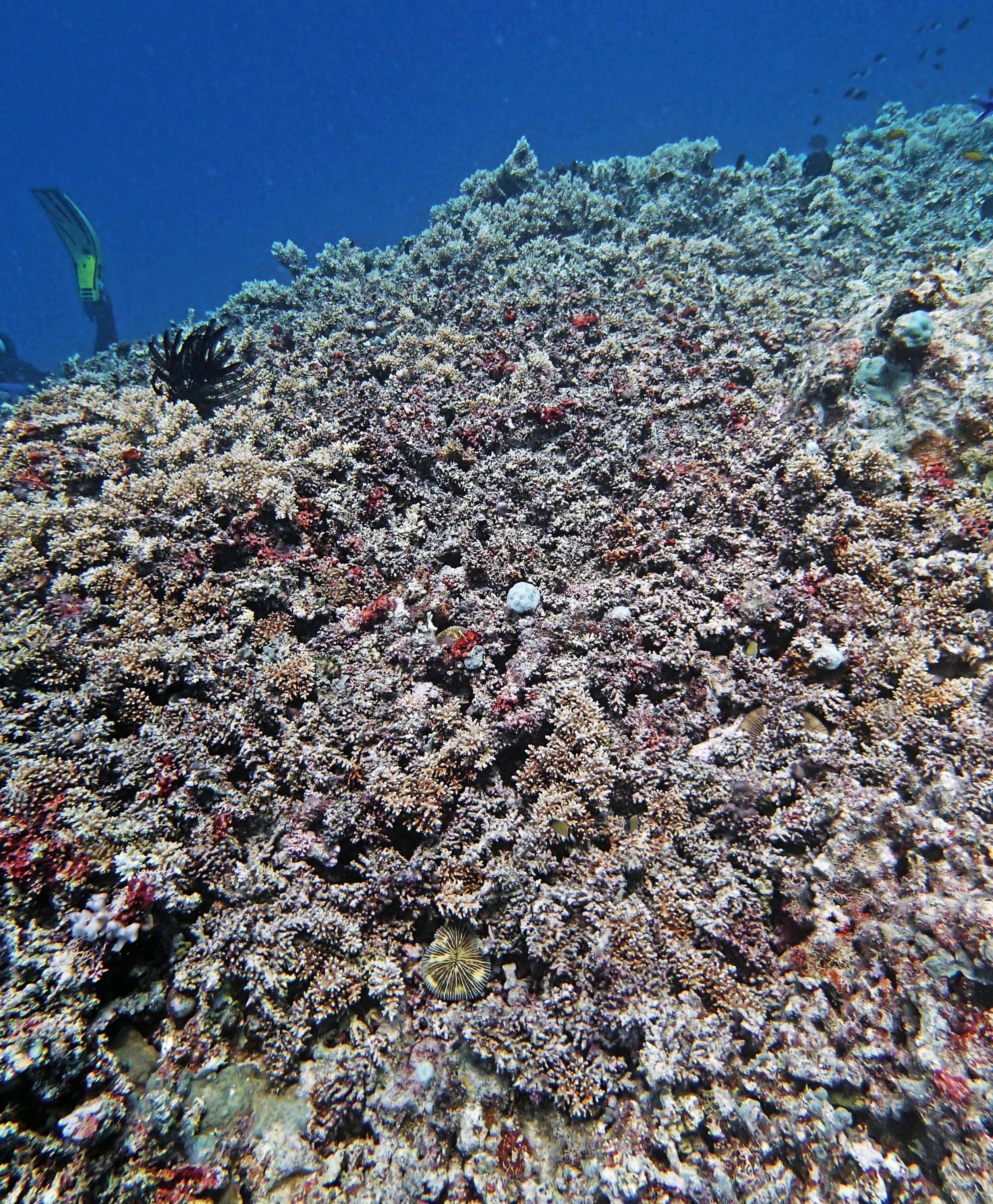 P9091146.png
