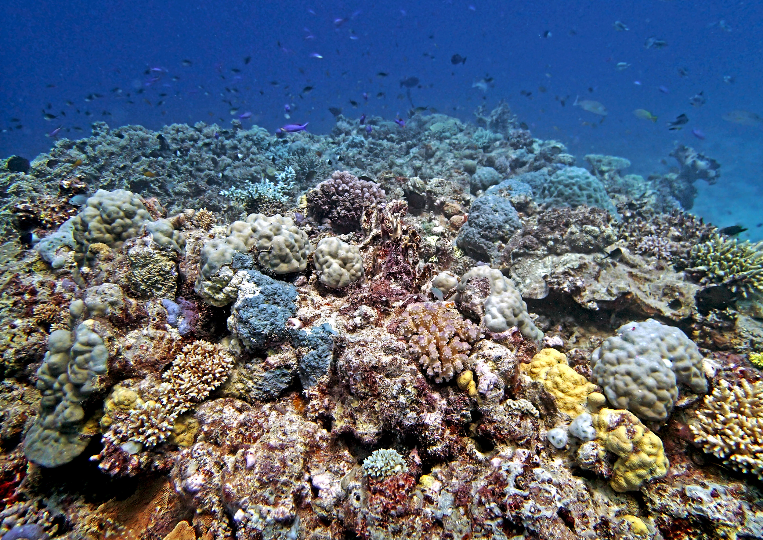 P9091147.png