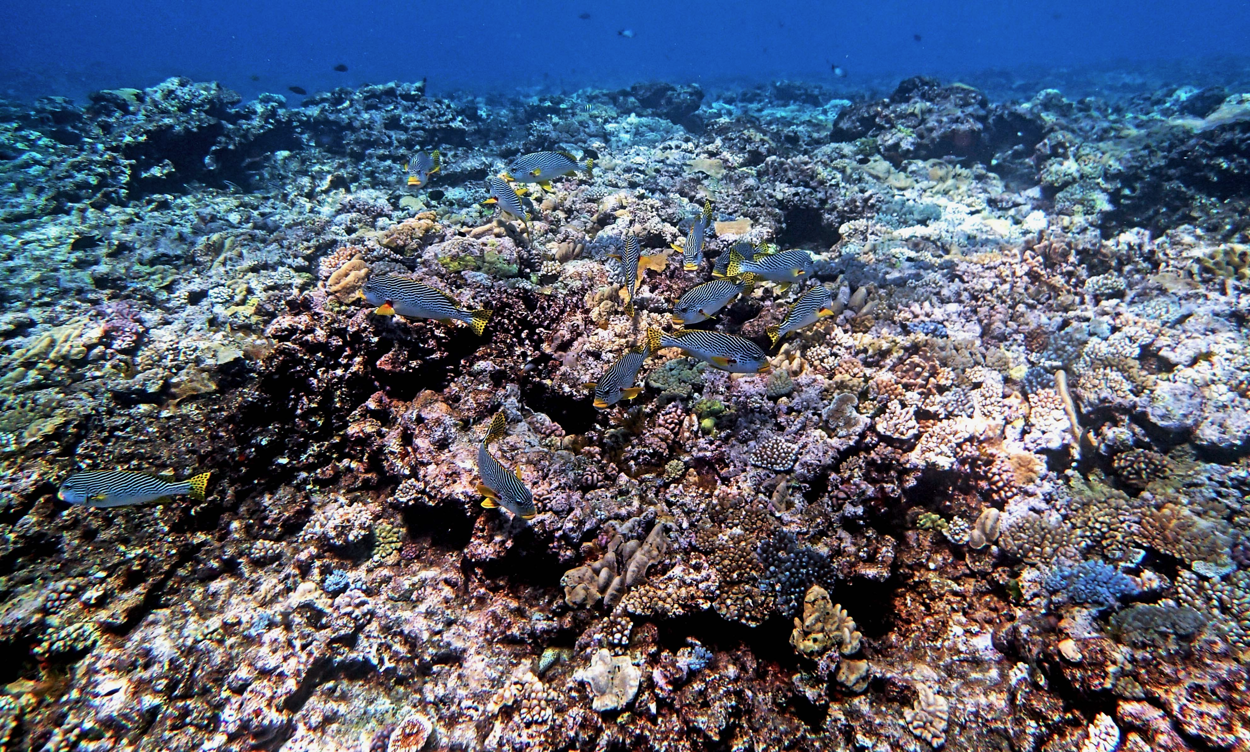 P9091144.png