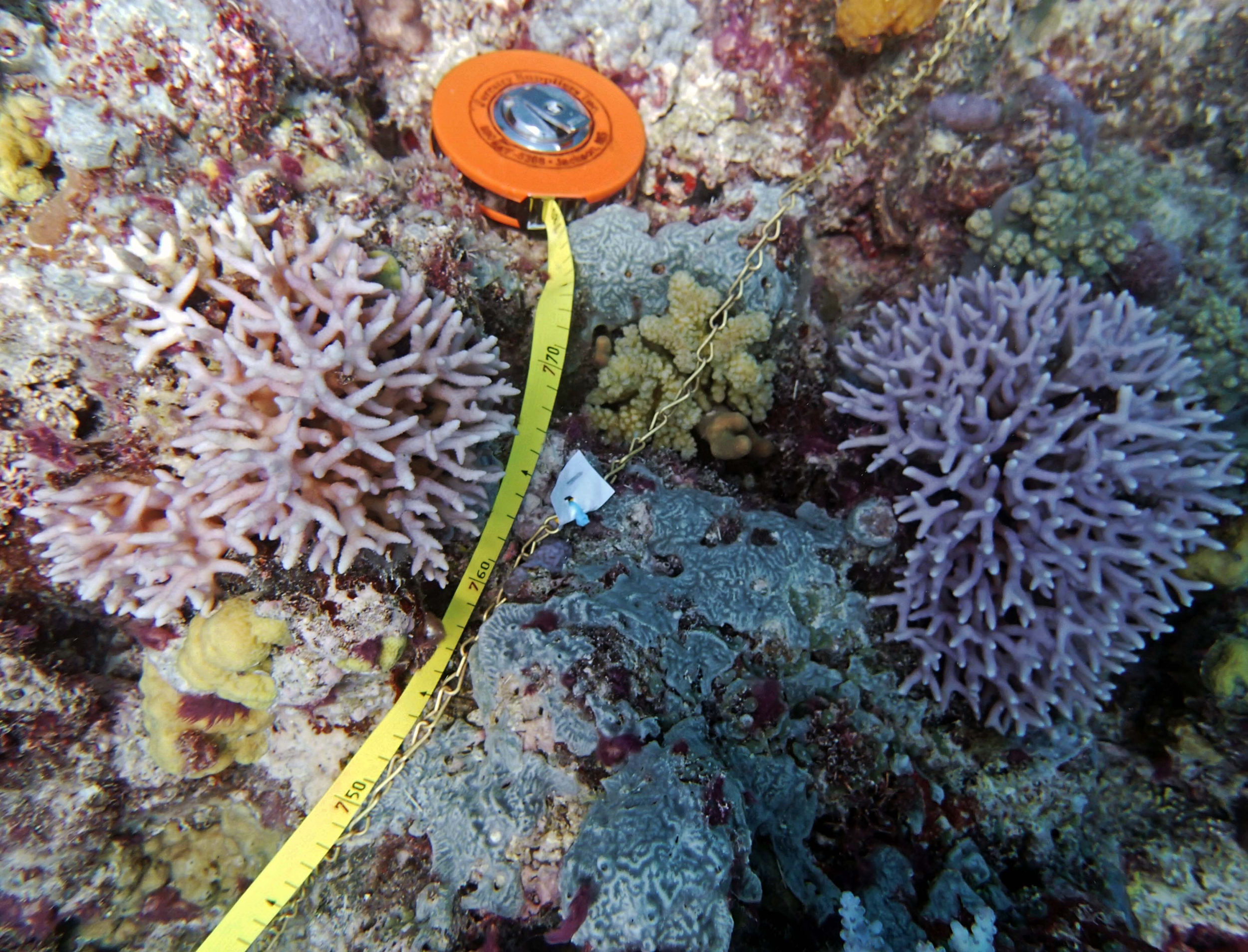 P9091153.png
