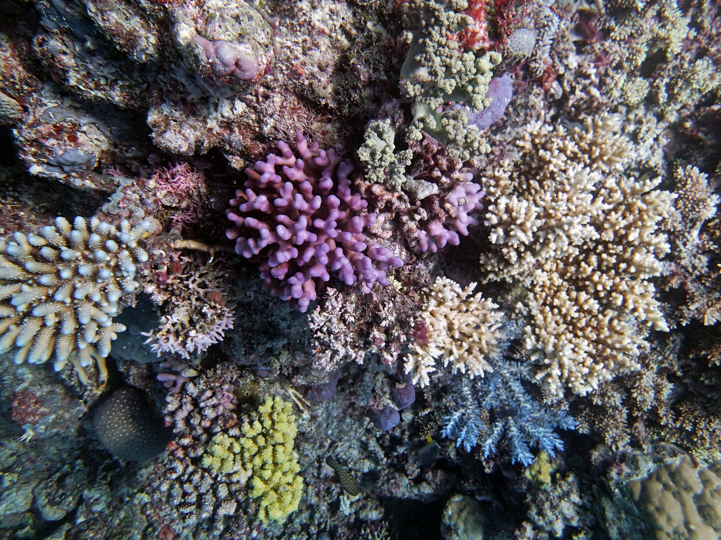 P9091160.png