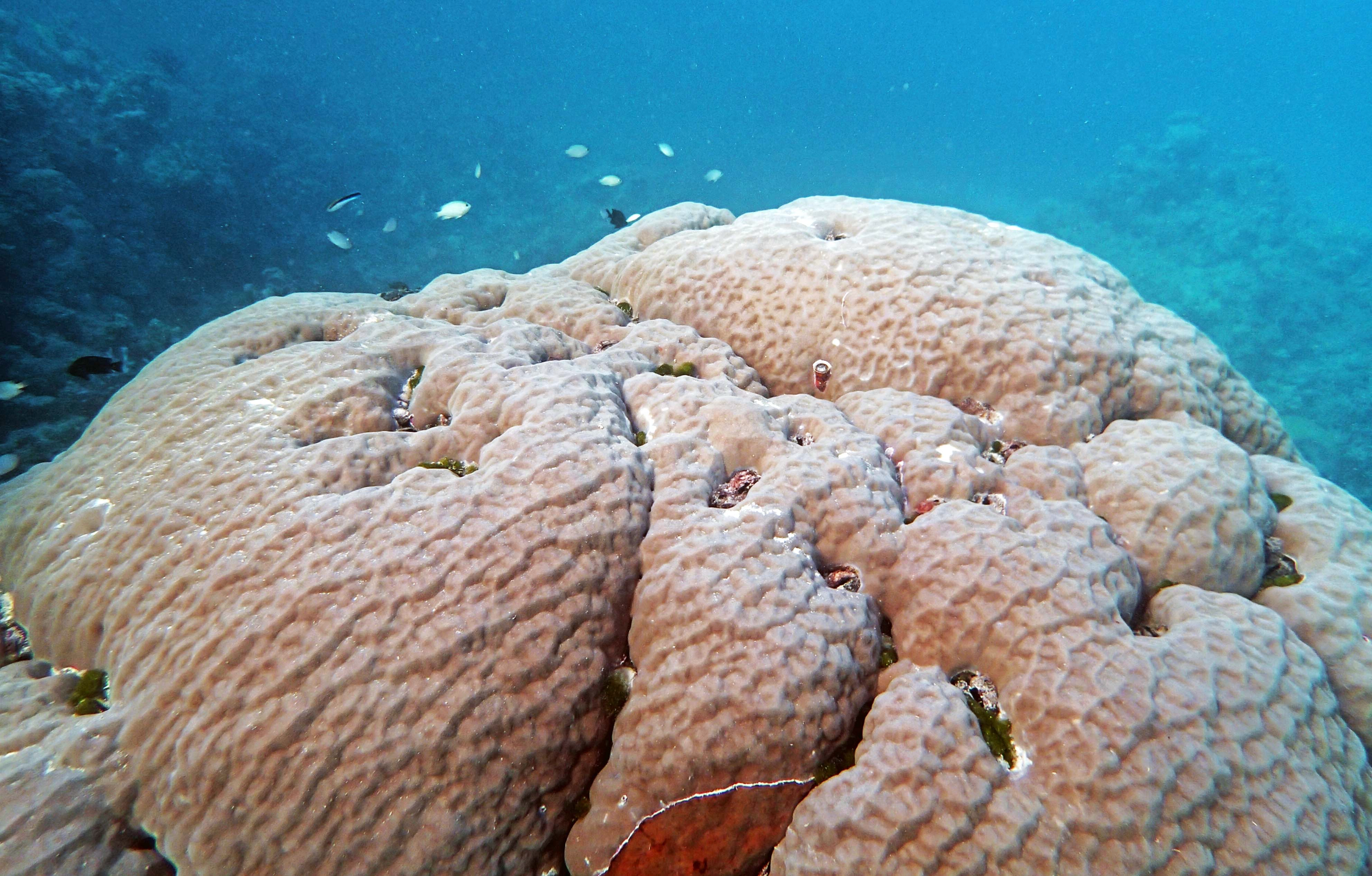 P9091171.png