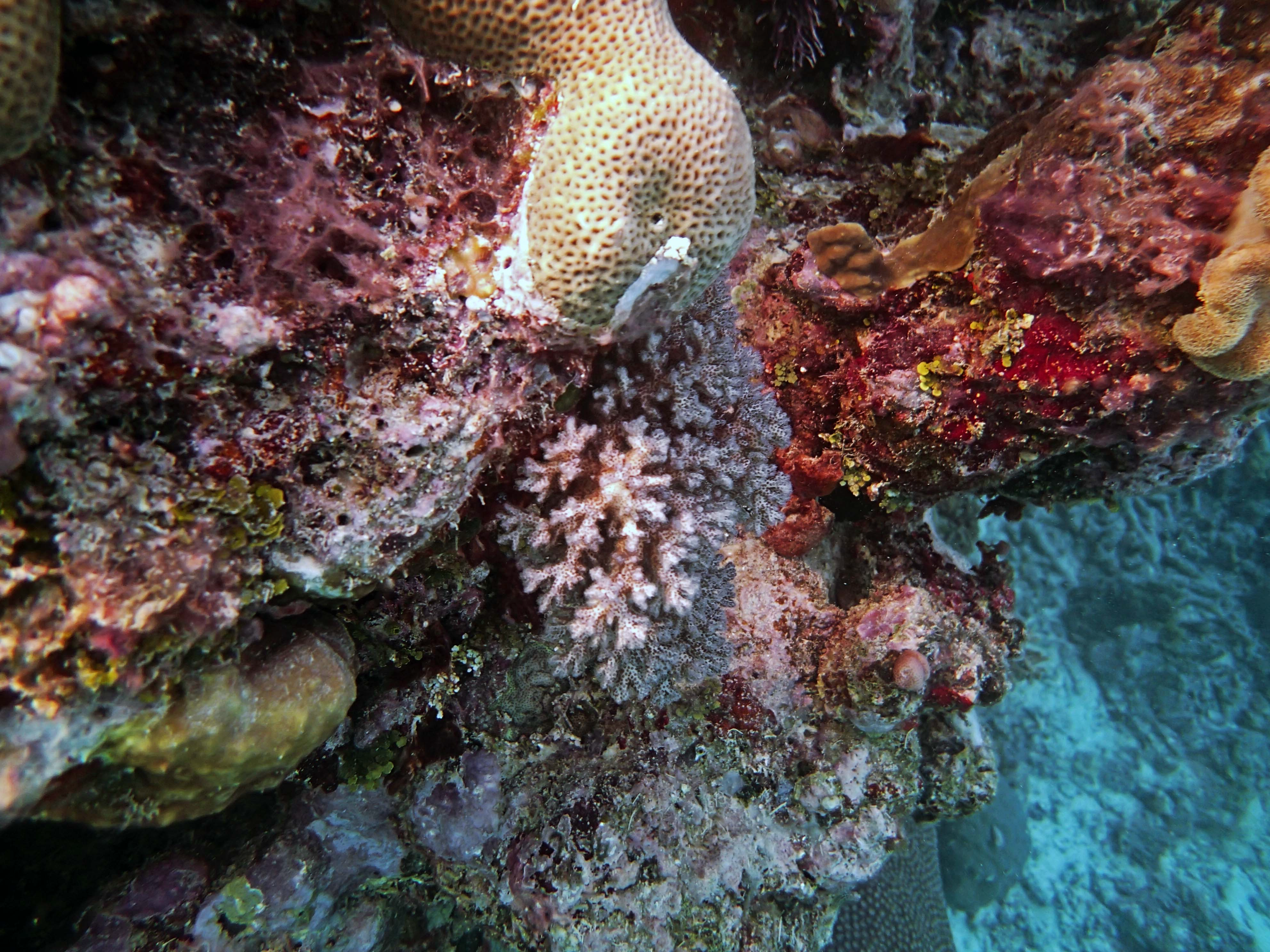 P9091172.png