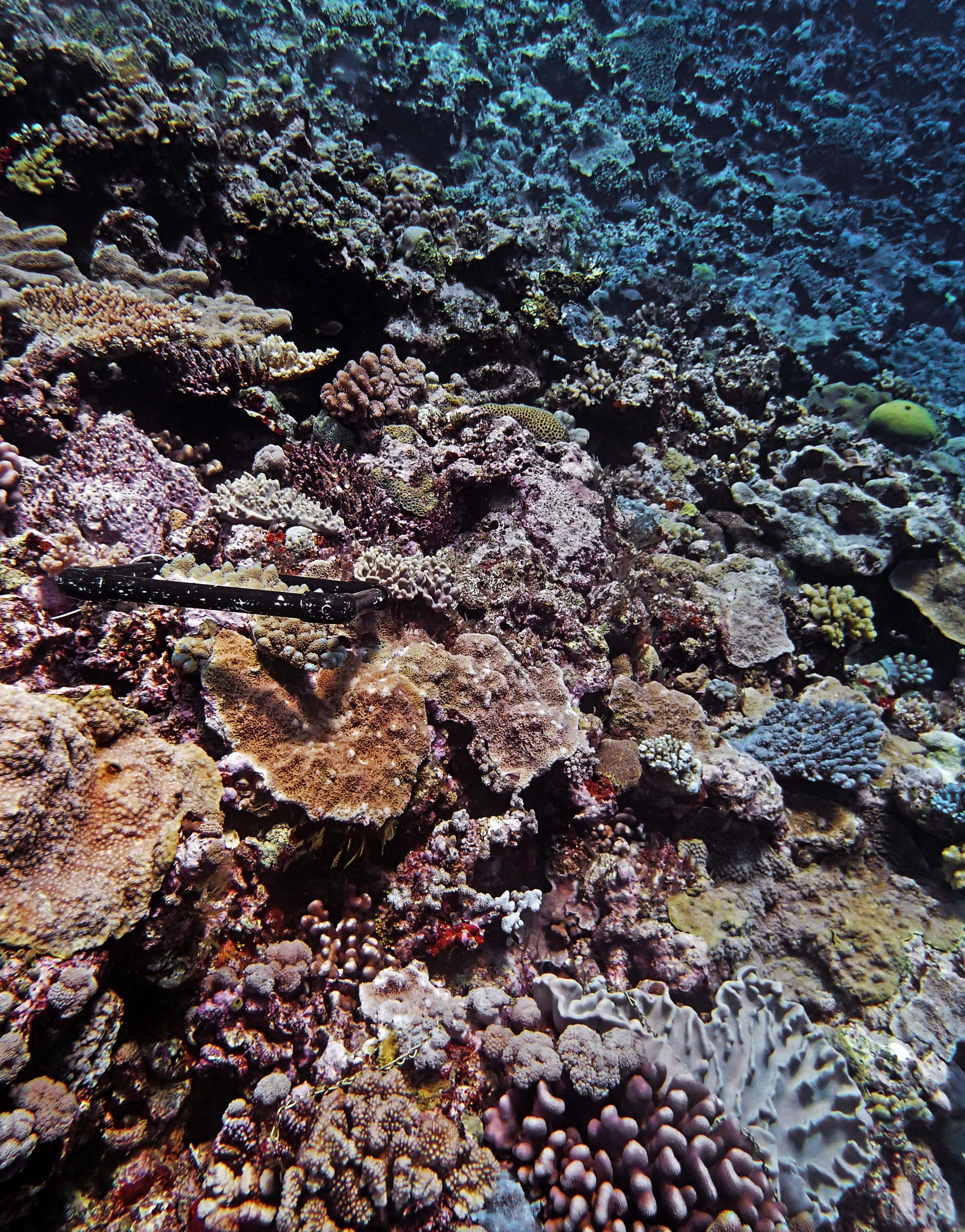 P9101178.png