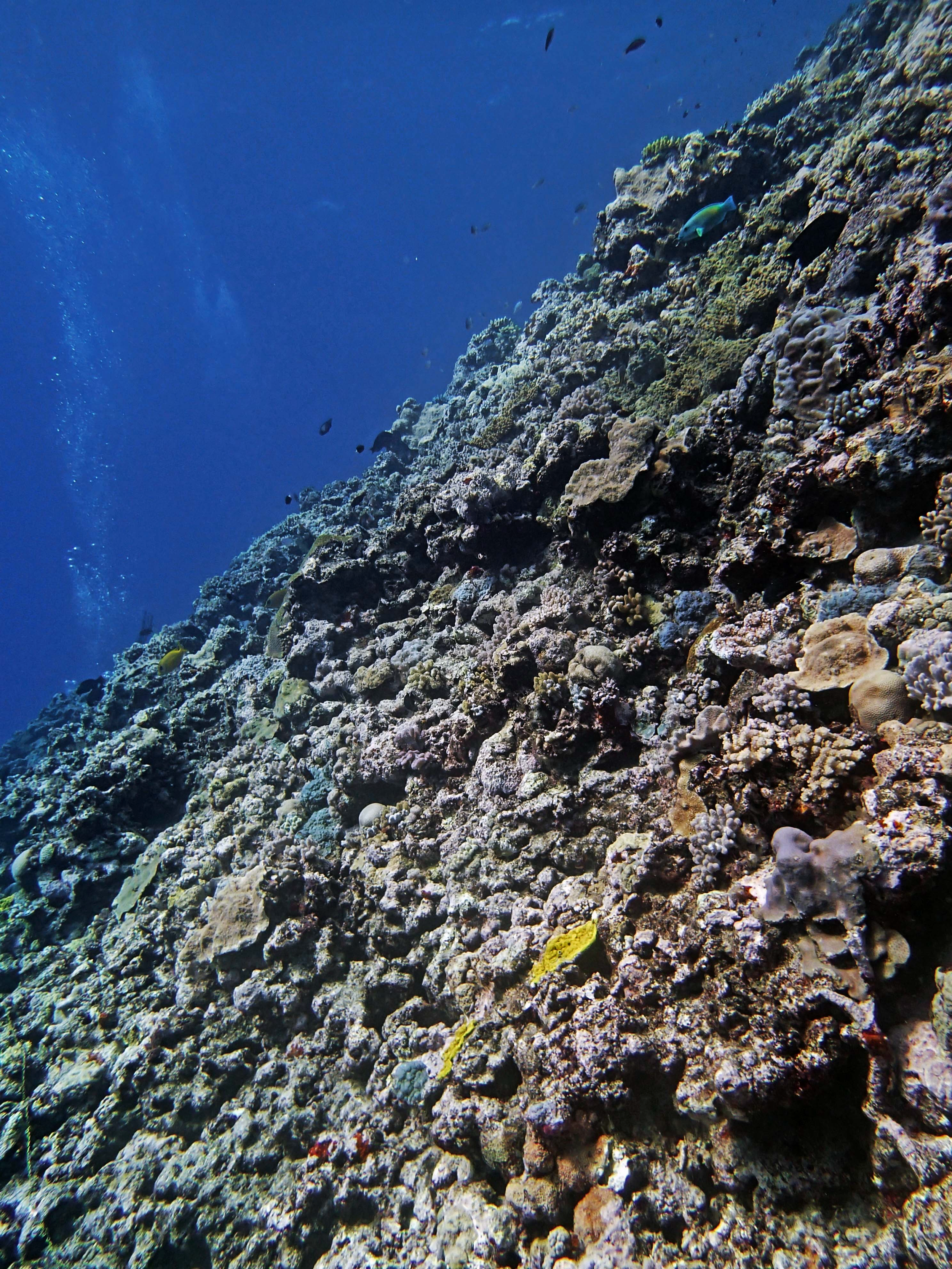 P9101180.png