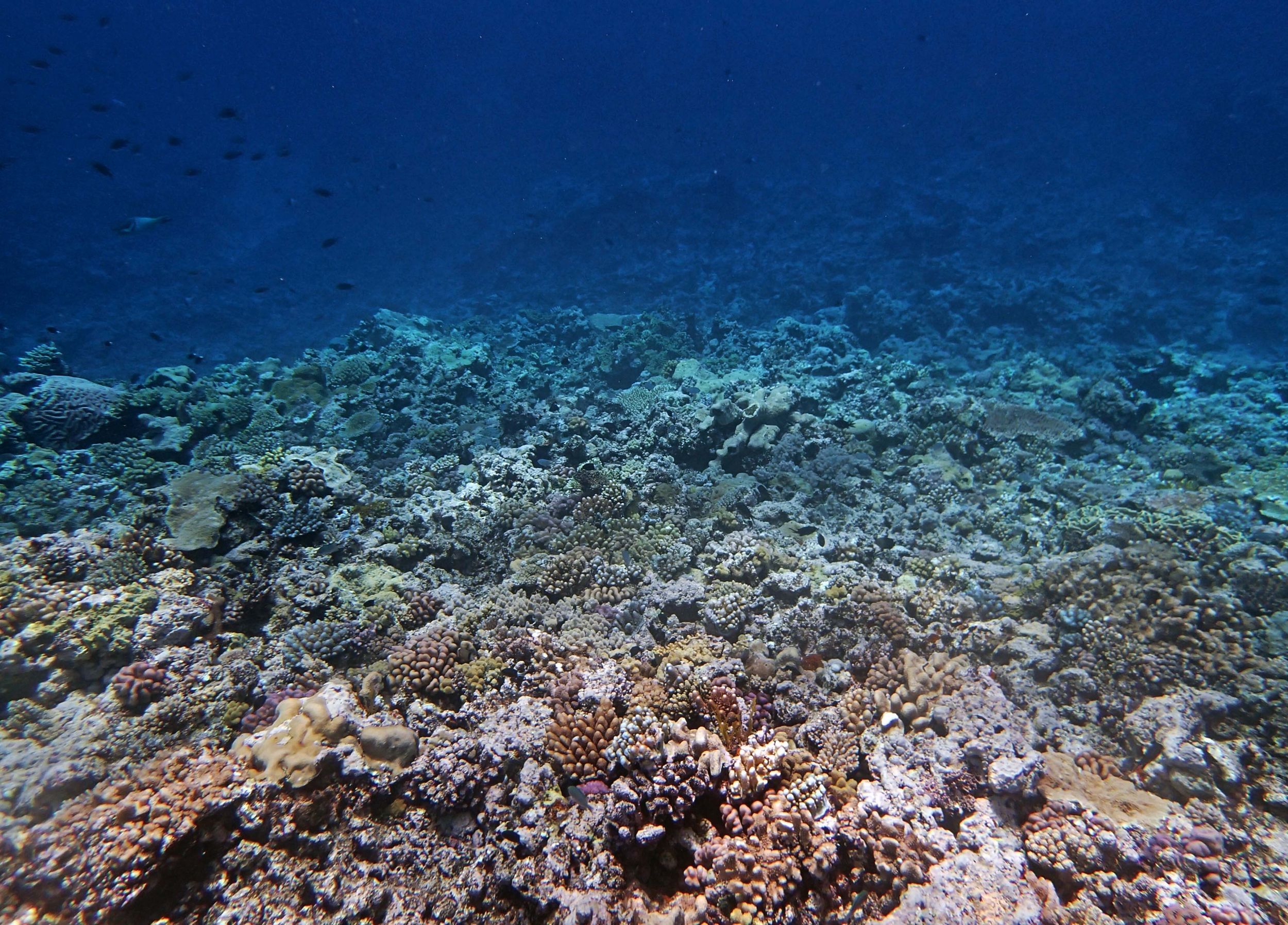 P9101195.png
