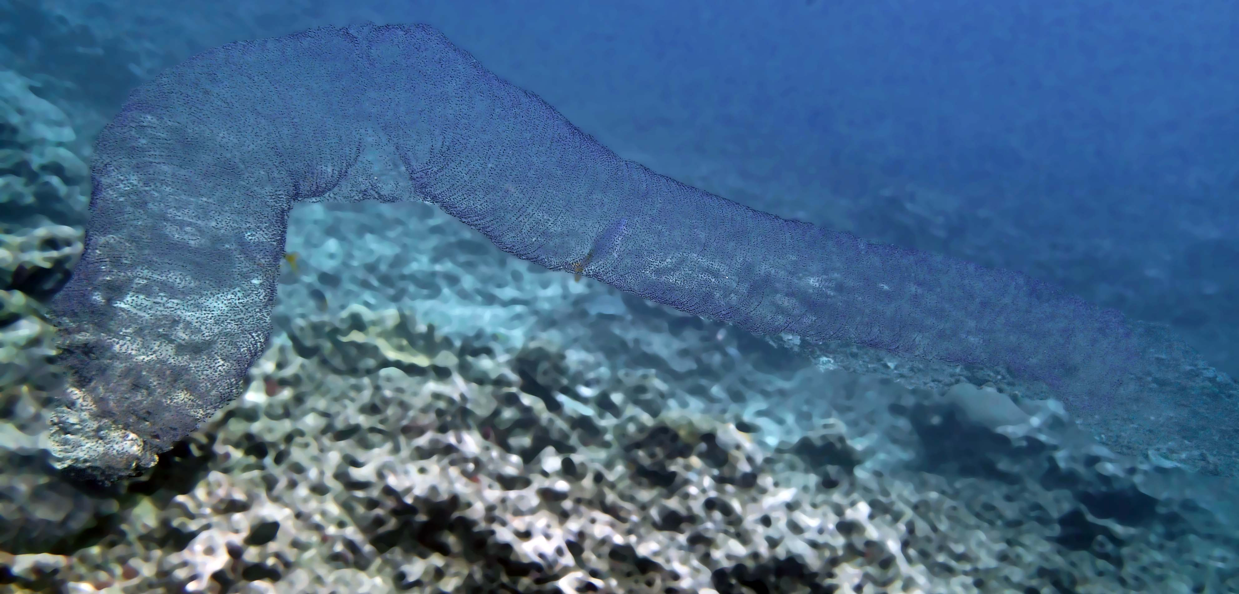 P9101170.png