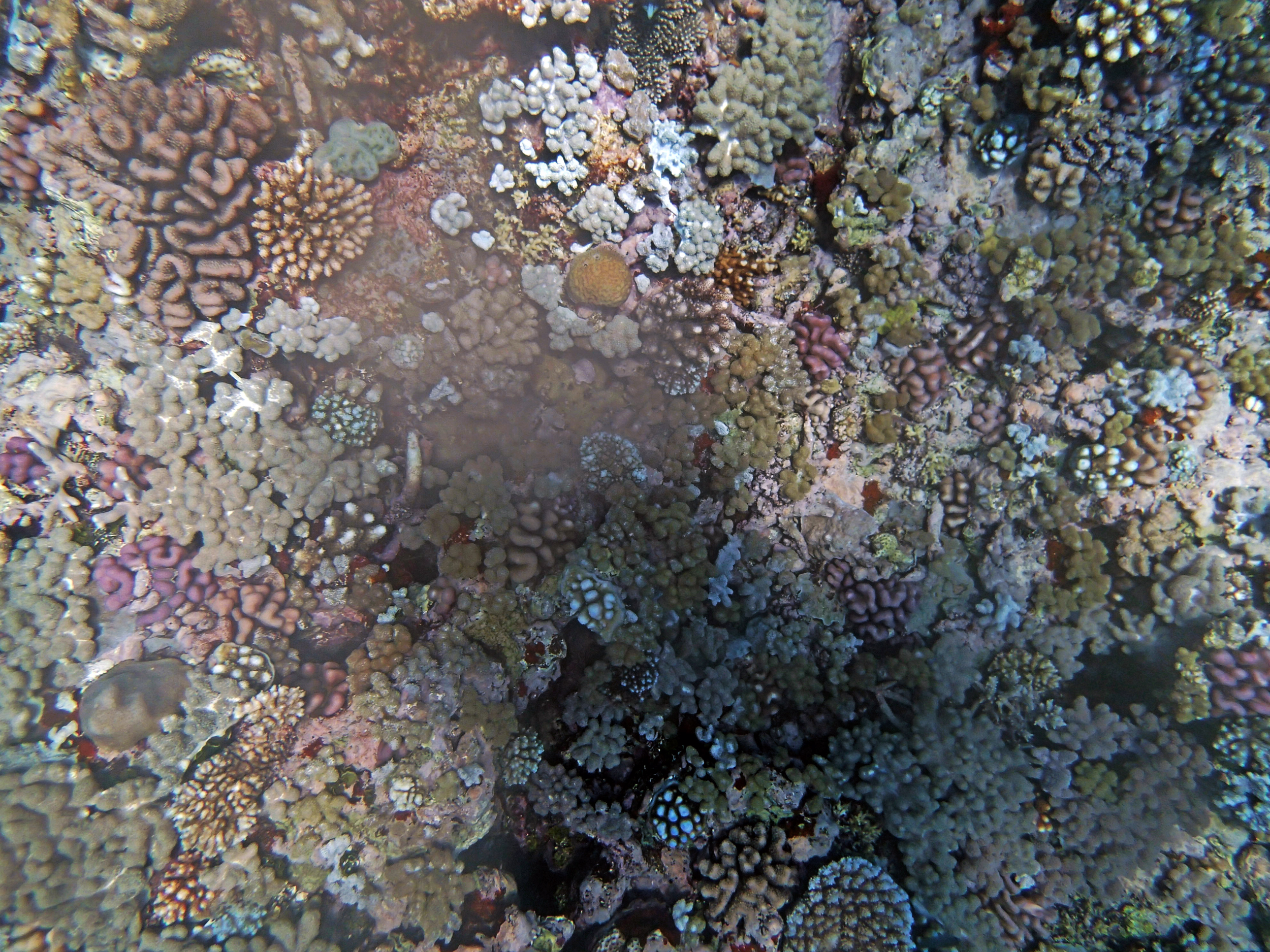 P9101230.png