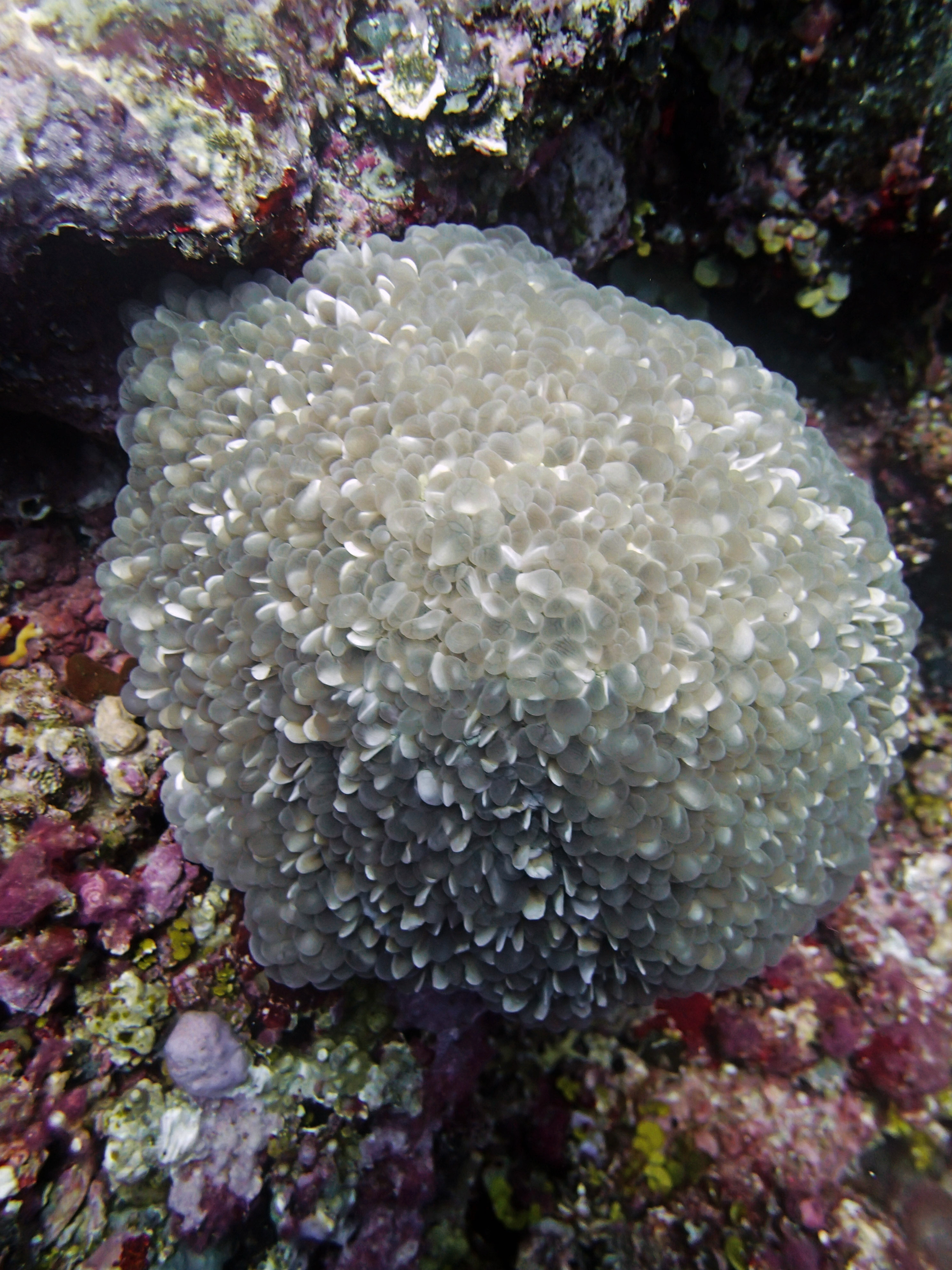 P9101206.png