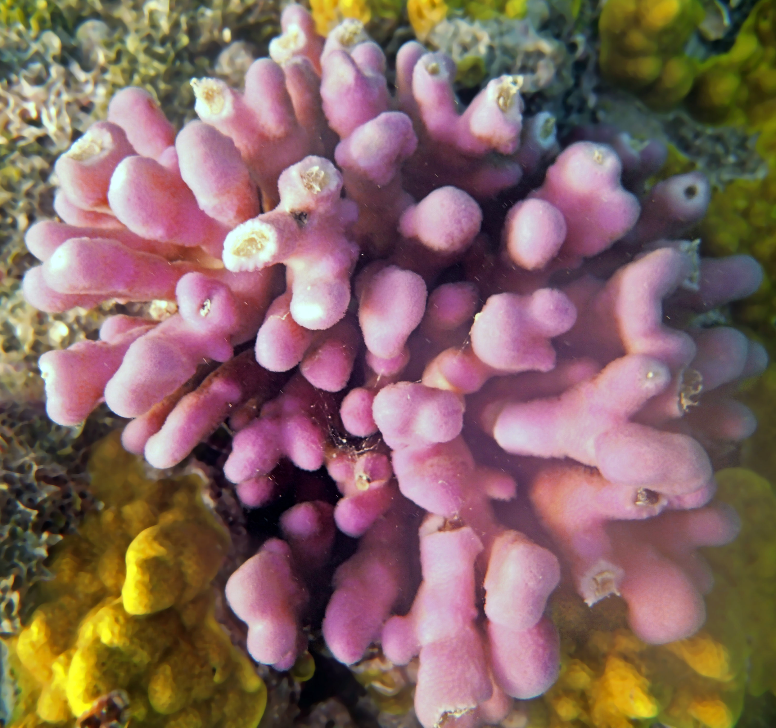 P9101117.png