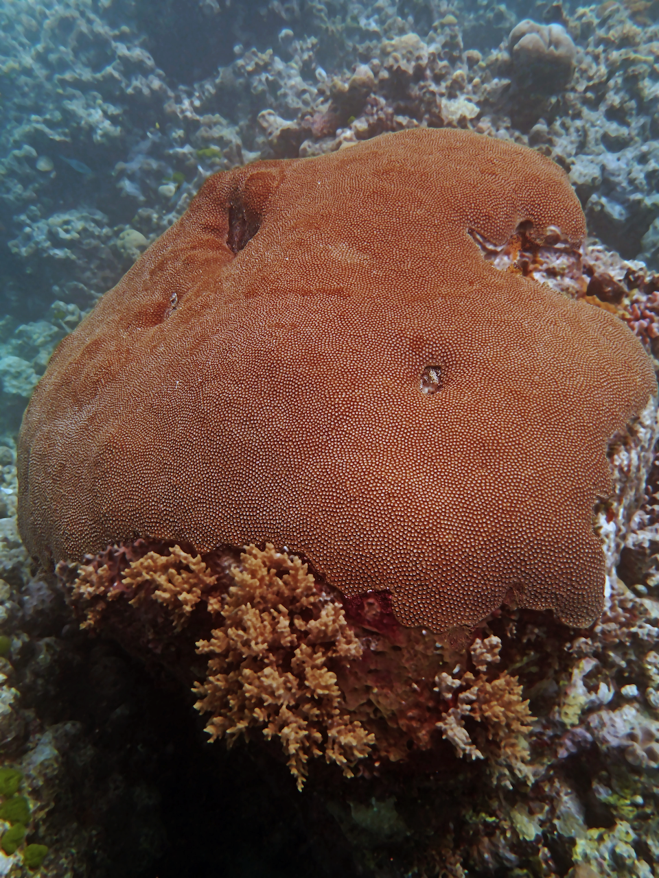 P9111159.png