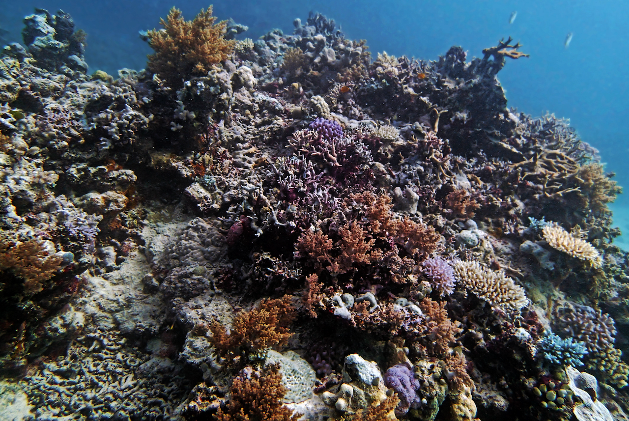 P9111145.png