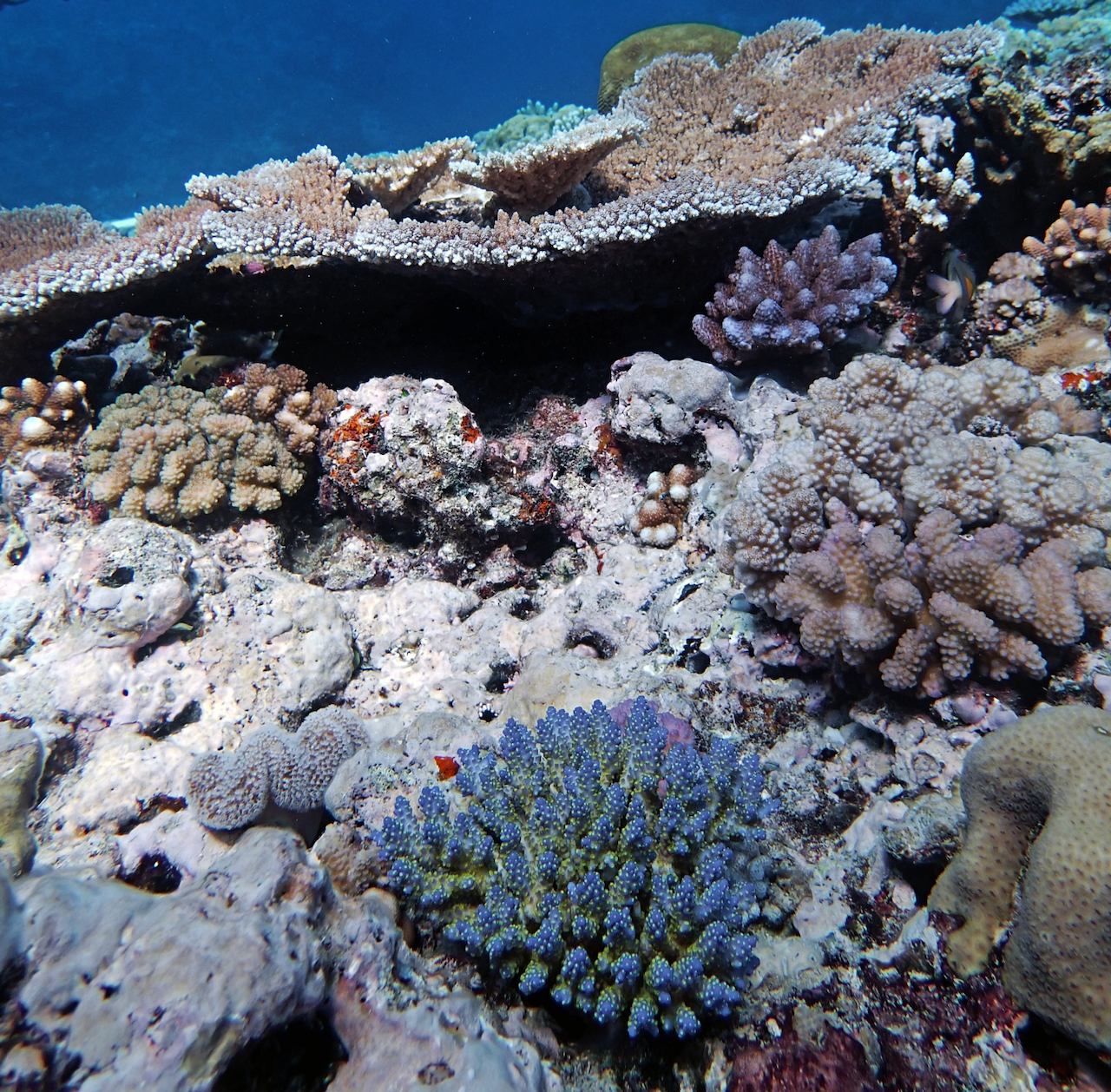 P9121178.png