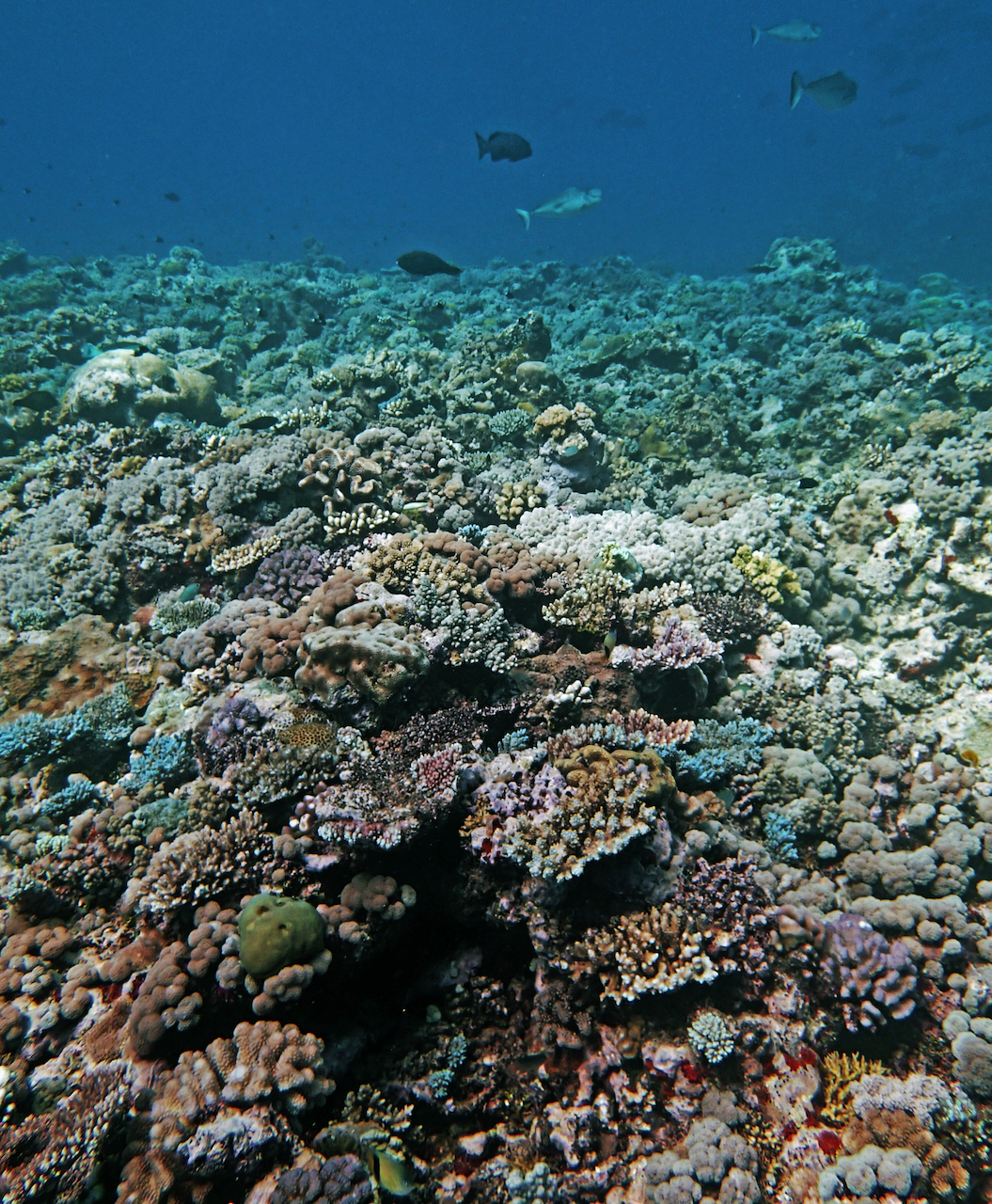 P9121144.png