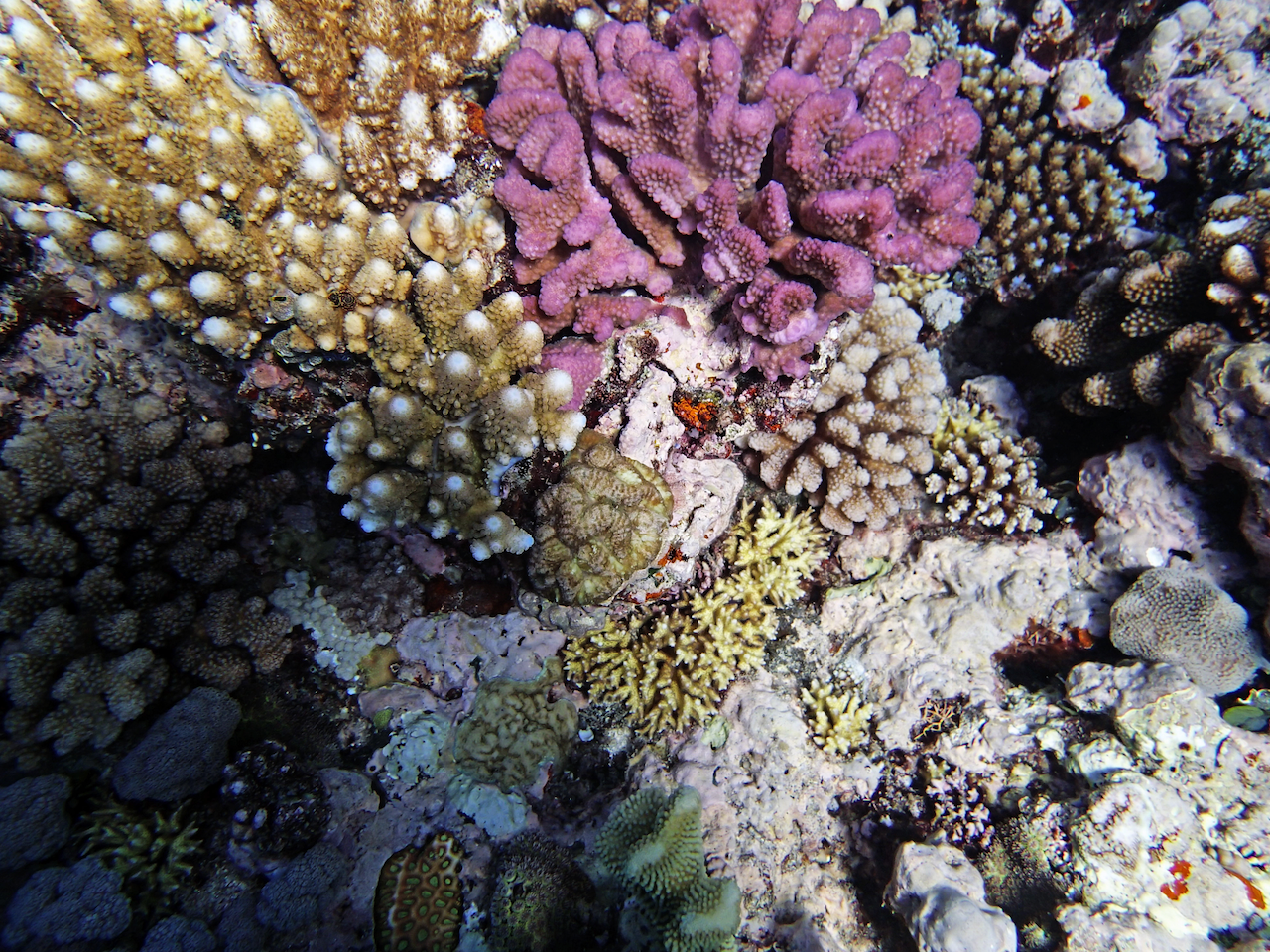 P9121168.png