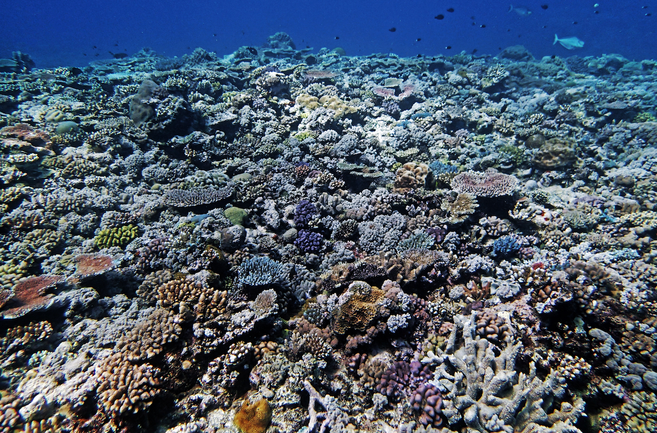 P9121163.png
