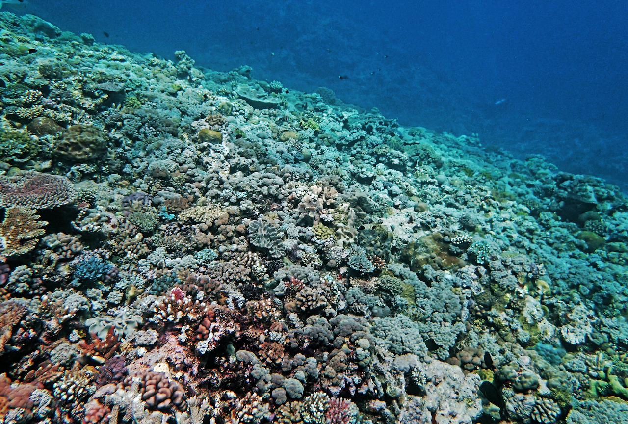 P9121164.png