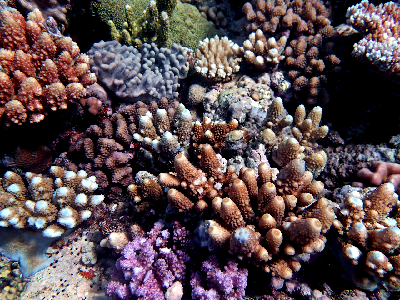 P9121172.png