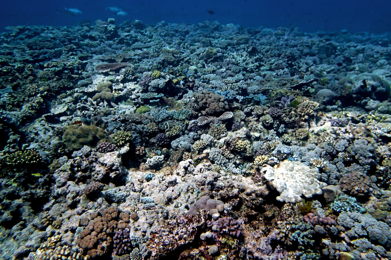 P9121149.png
