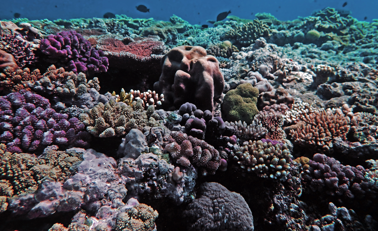 P9121174.png