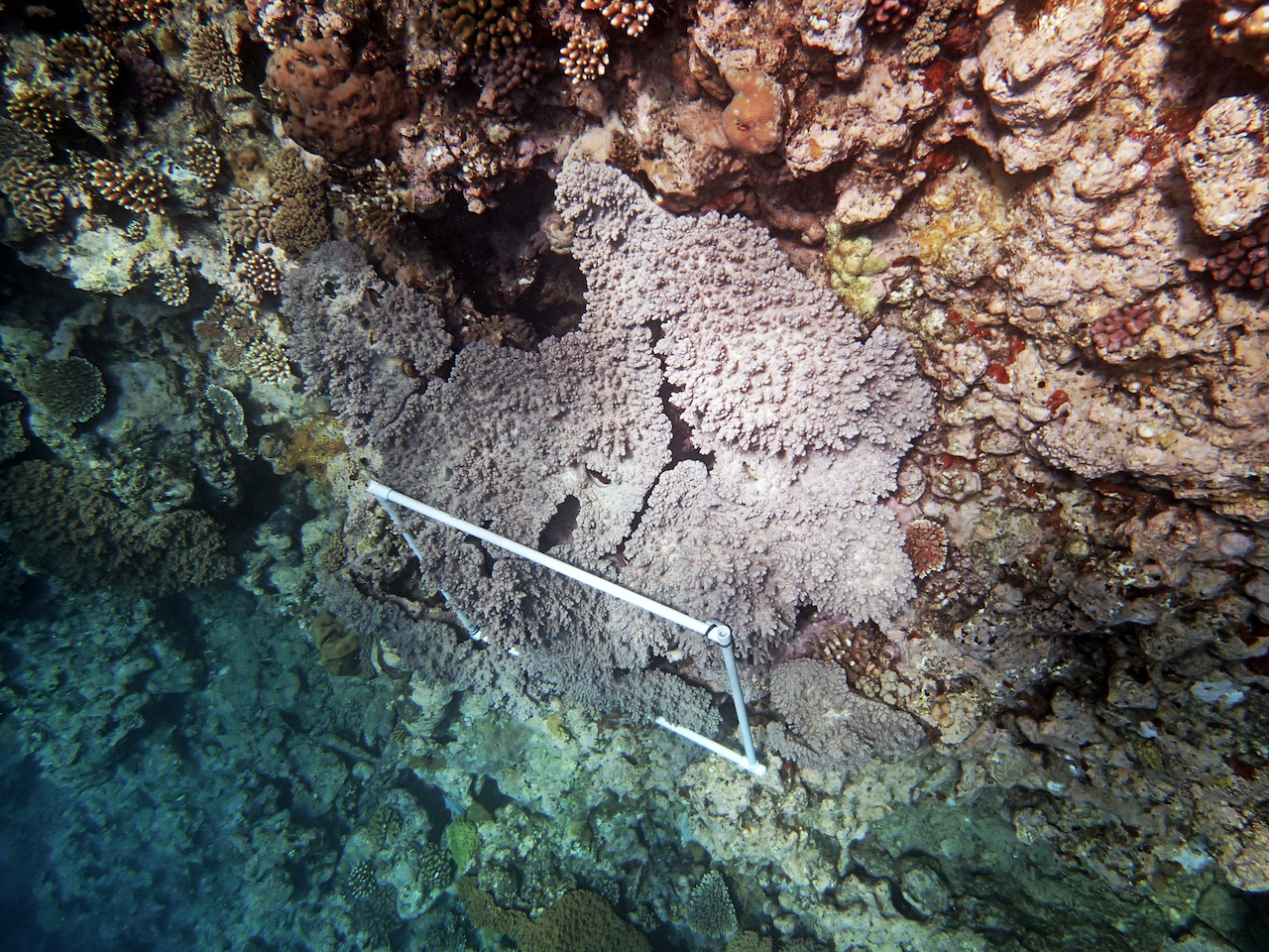 P9121223.png