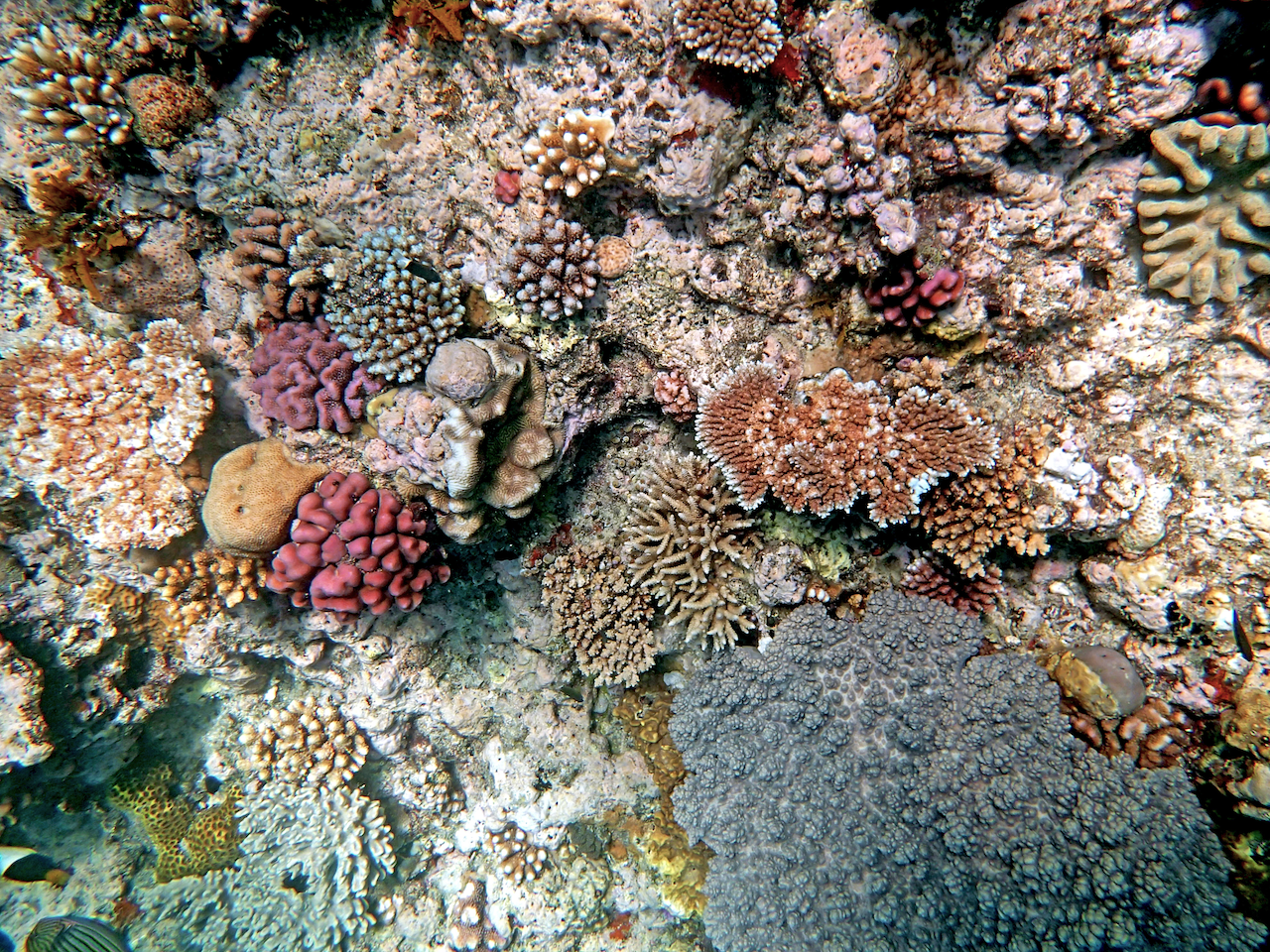 P9121220.png