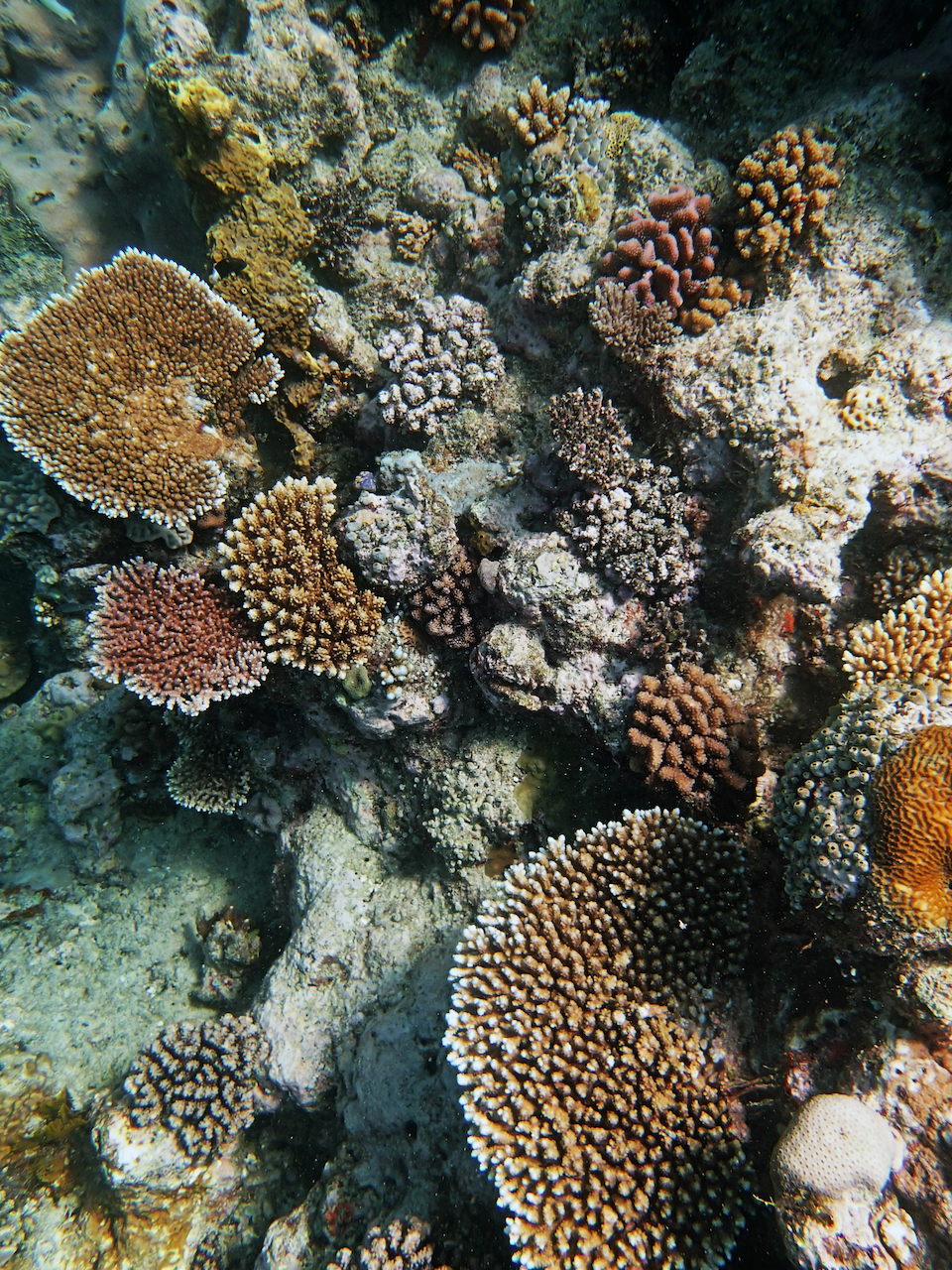 P9121211.png