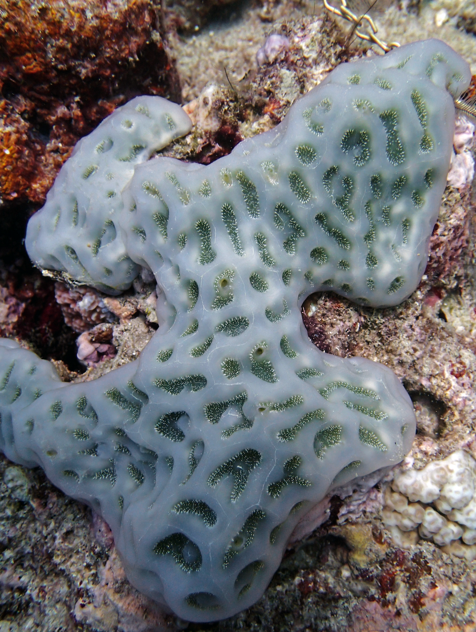 P9121199.png