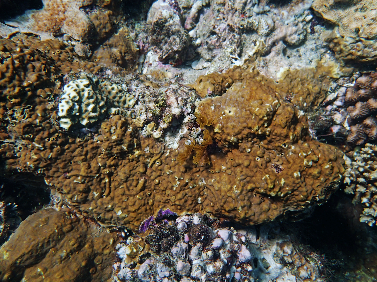 P9121213.png