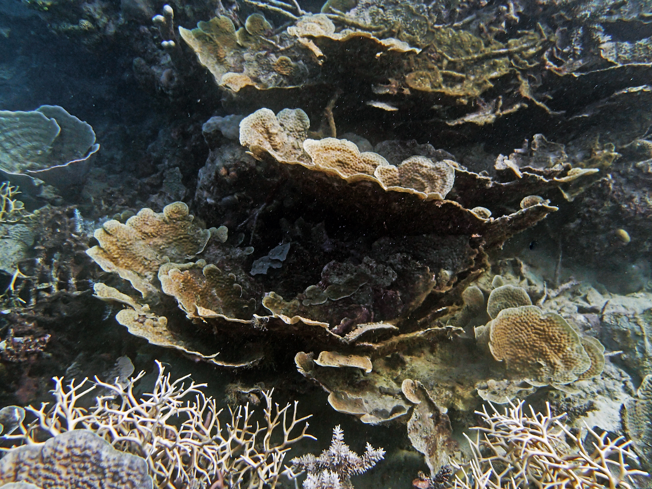 P9130035.png