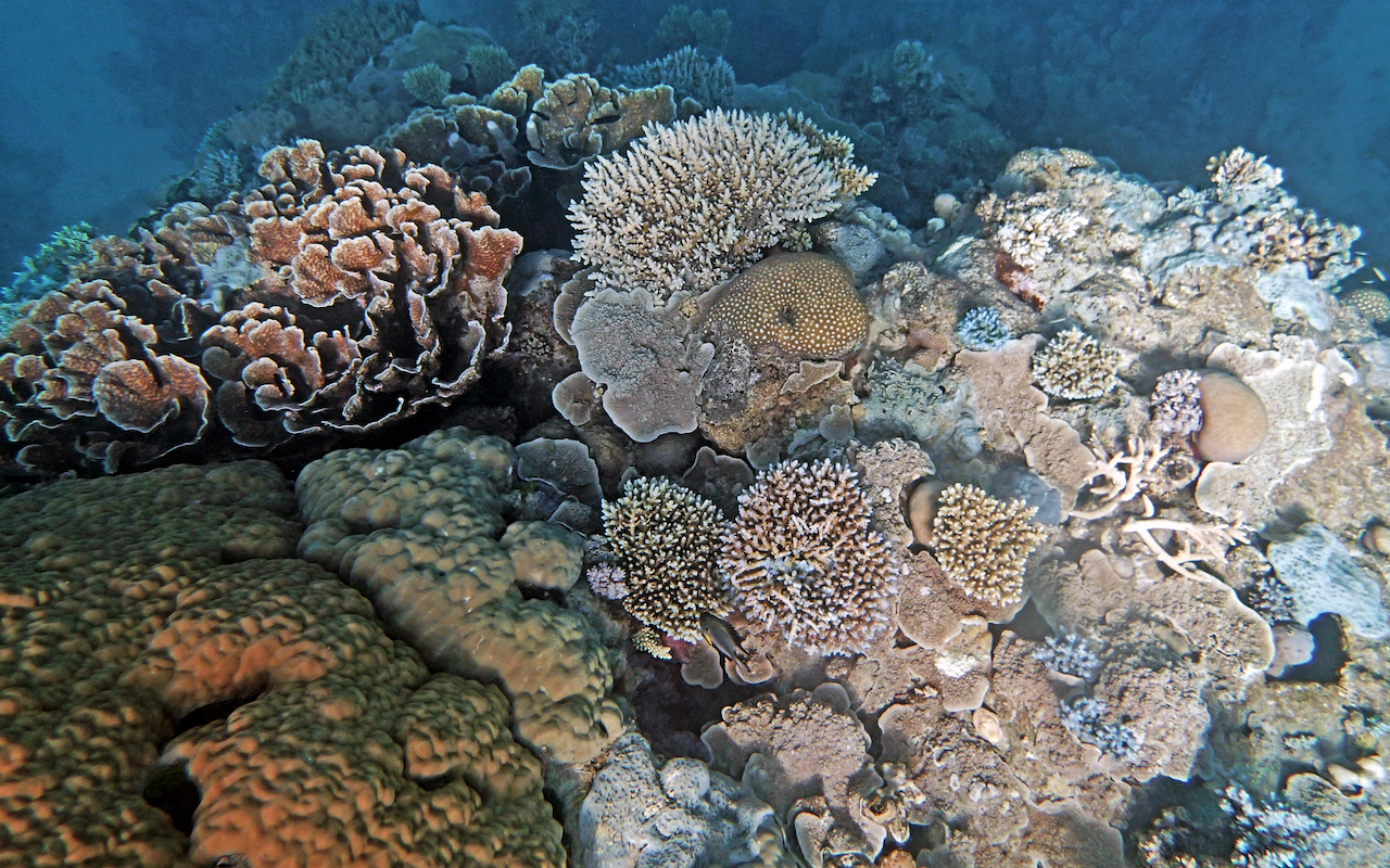 P9130064.png