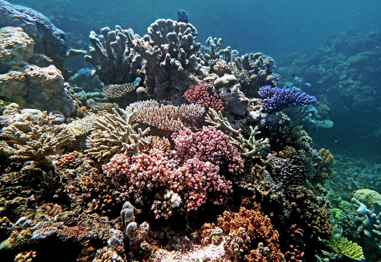 P9130091.png