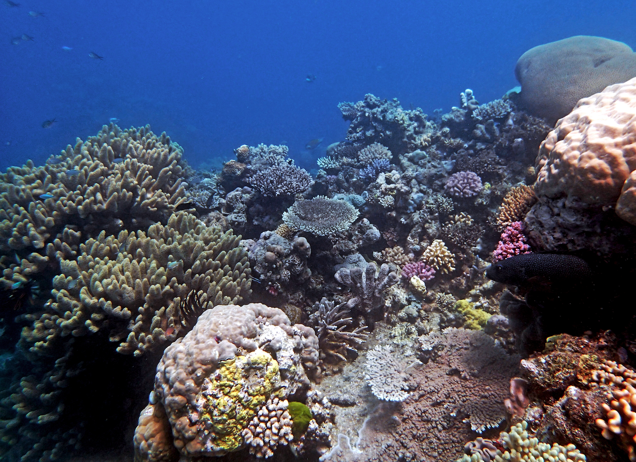 P9130090.png
