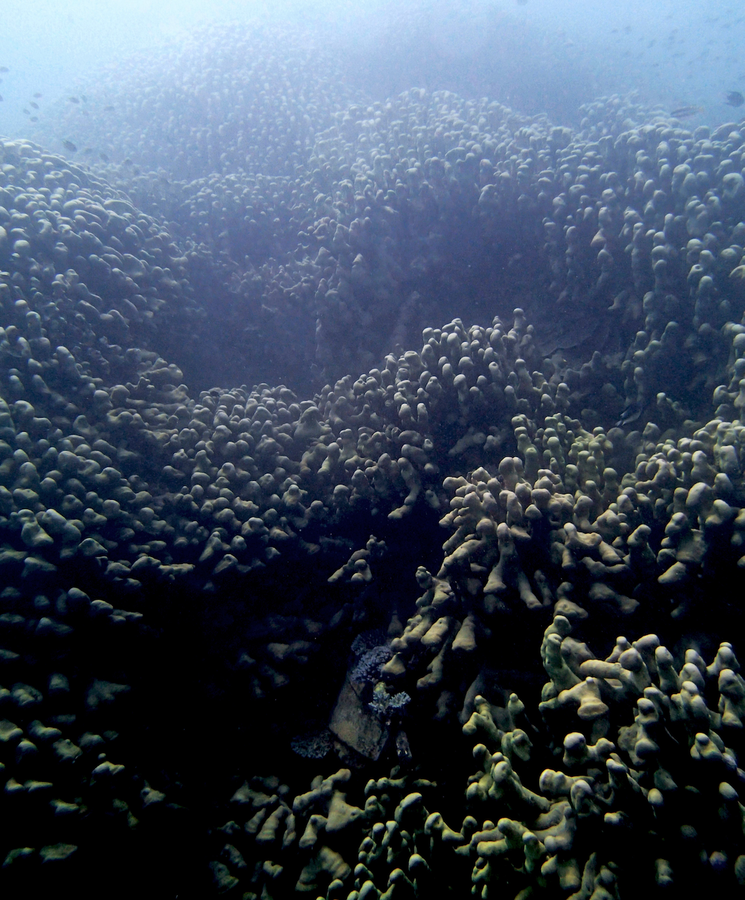 P9130069.png