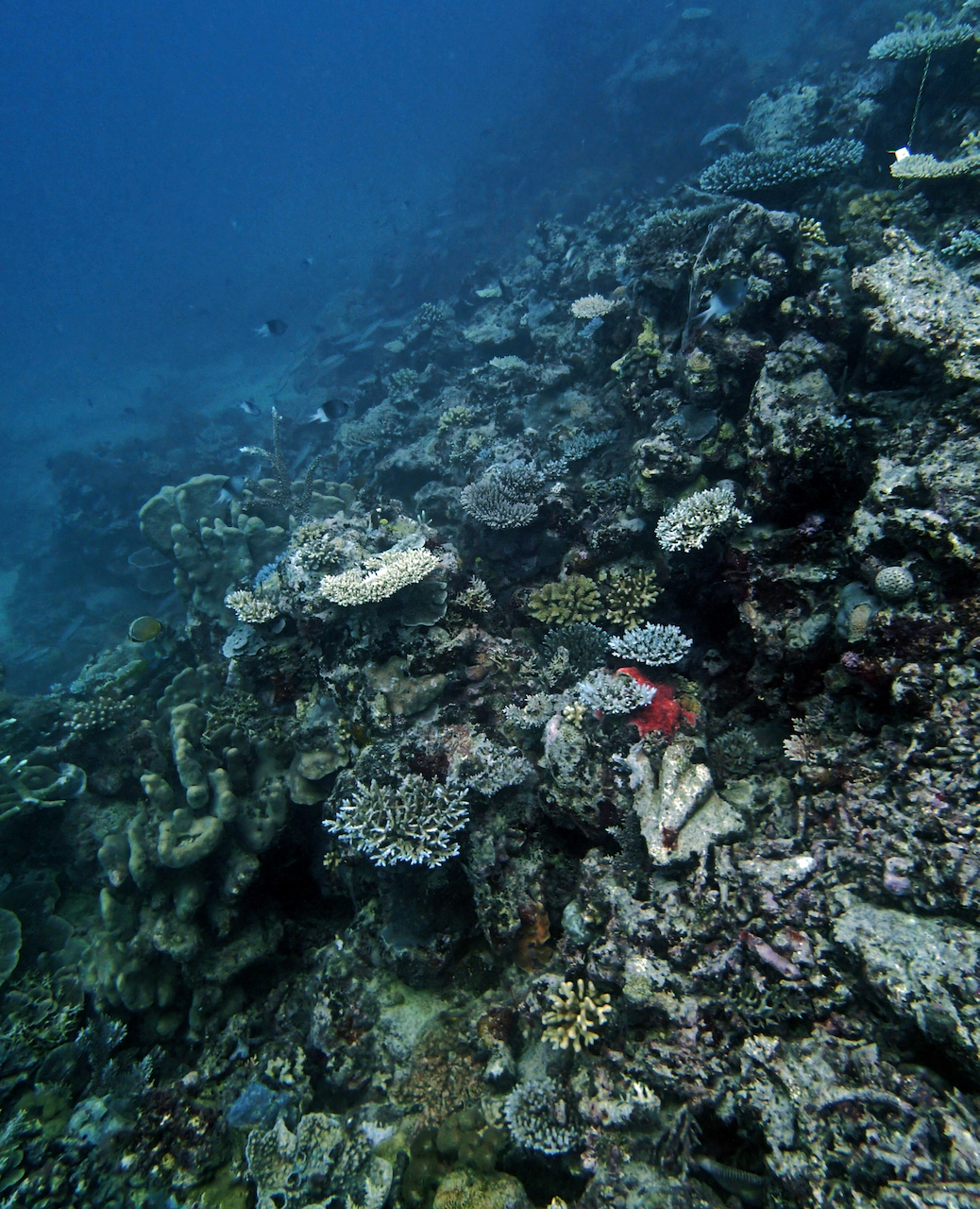 P9130017.png